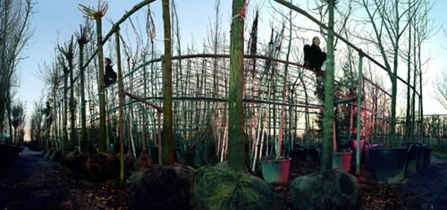 Ellen Kooi | Photographies