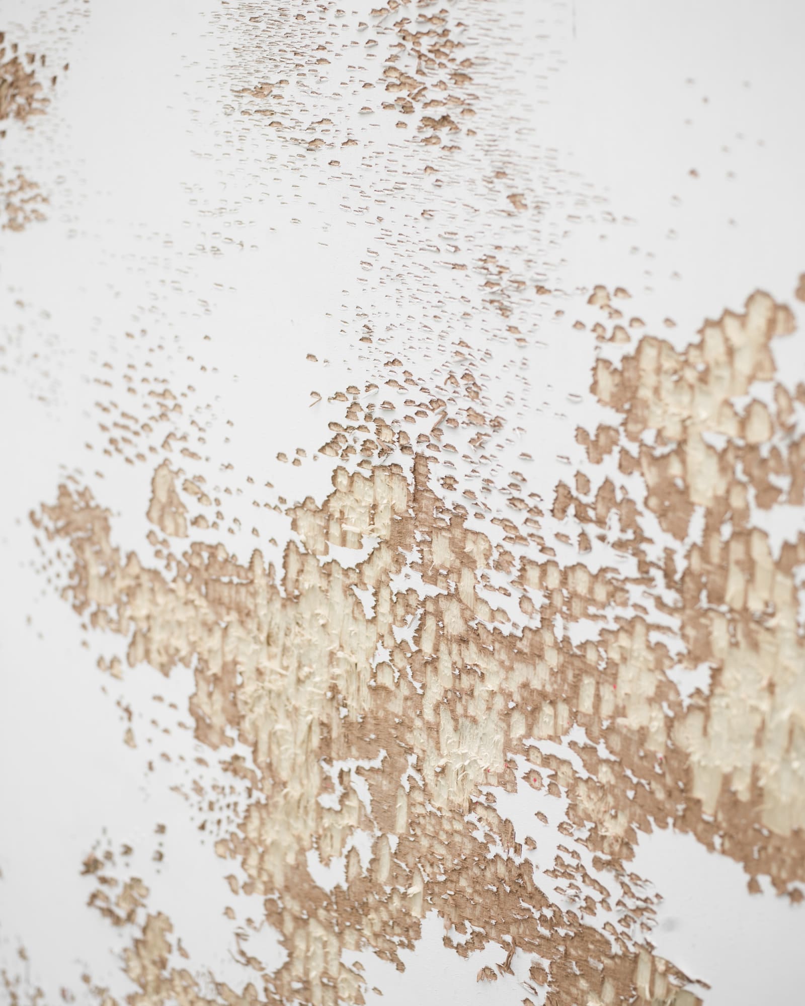 Métamorphose de l'ordinaire