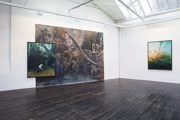 Esther Teichmann | IN SEARCH OF LIGHTNING