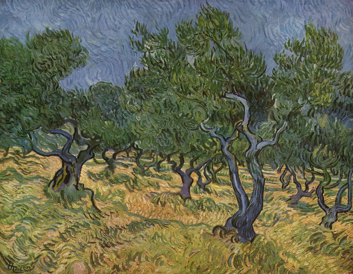 Vincent van Gogh. Olive Orchard, 1889 © Kröller-Müller Museum, Otterlo, Netherlands