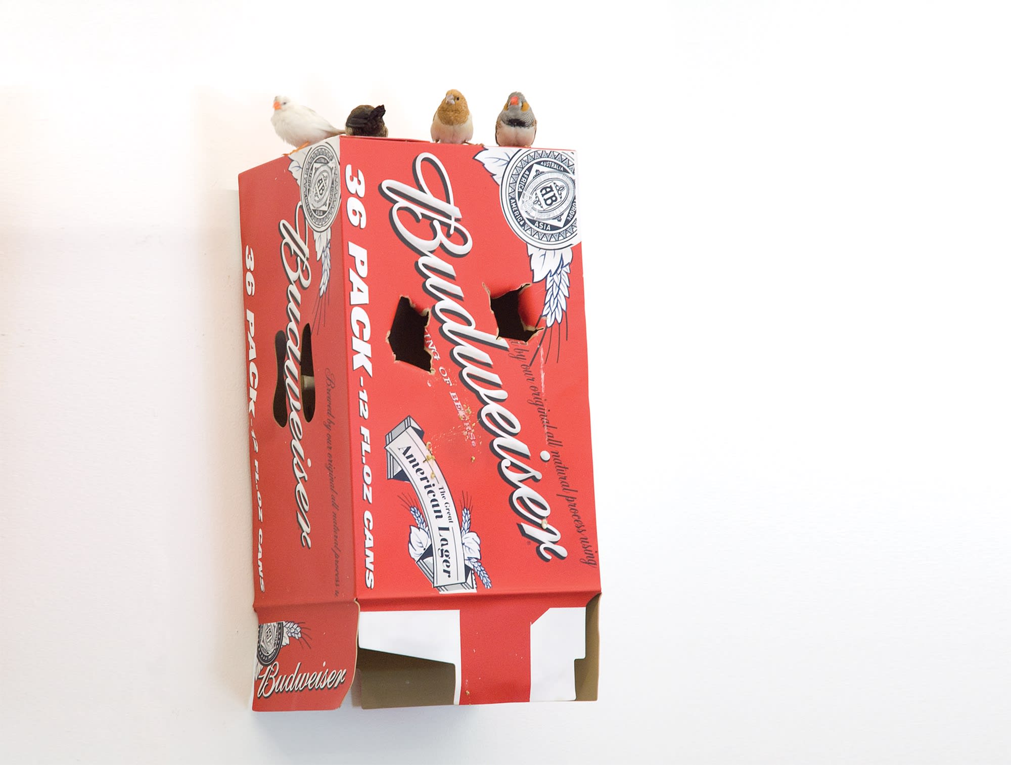 Installation view from Tony Matelli. The Idiot at Gary Tatintsian Gallery, 23 September–28 December 2009