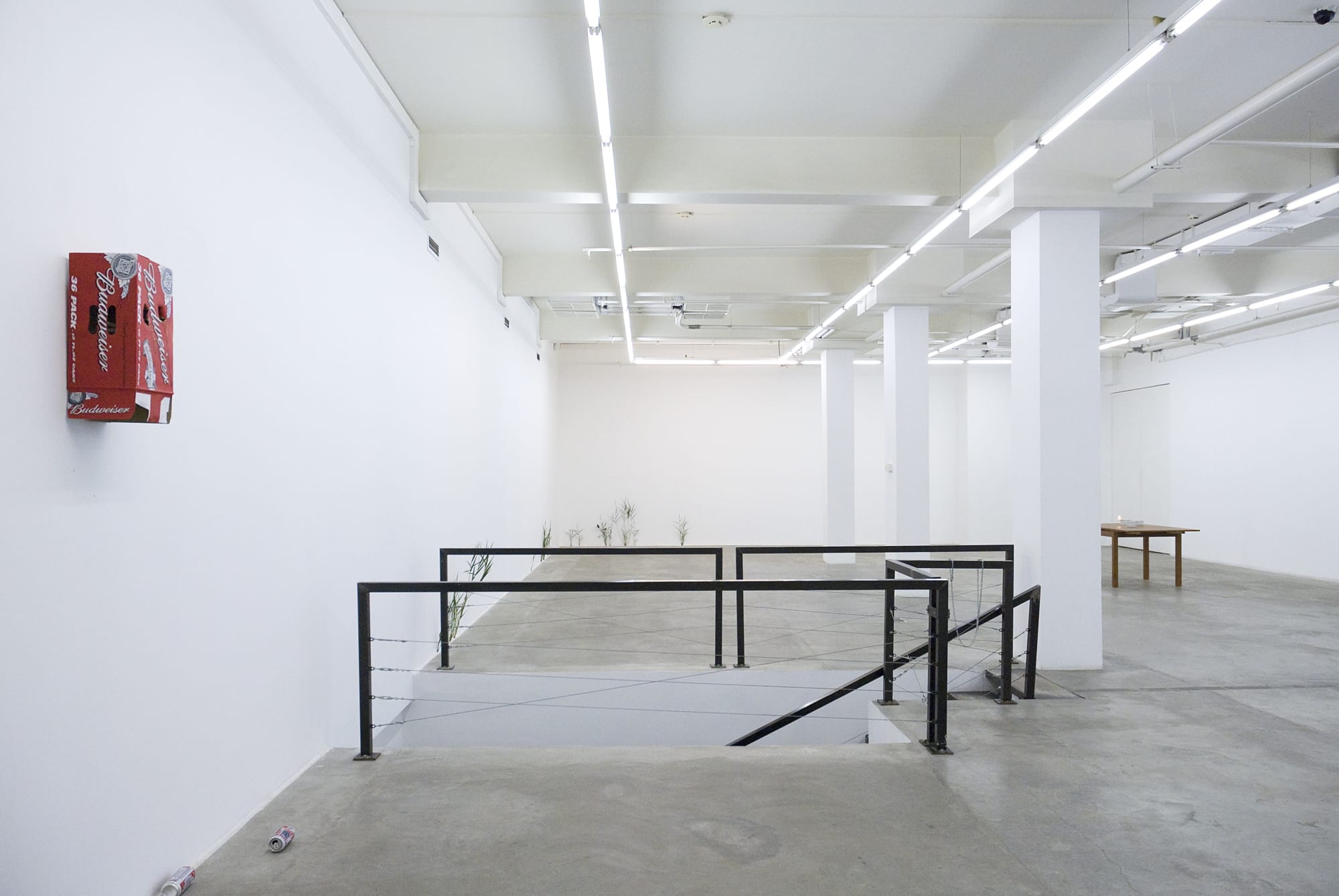 Installation view from Tony Matelli. The Idiot at Gary Tatintsian Gallery, 23 September–28 December 2009