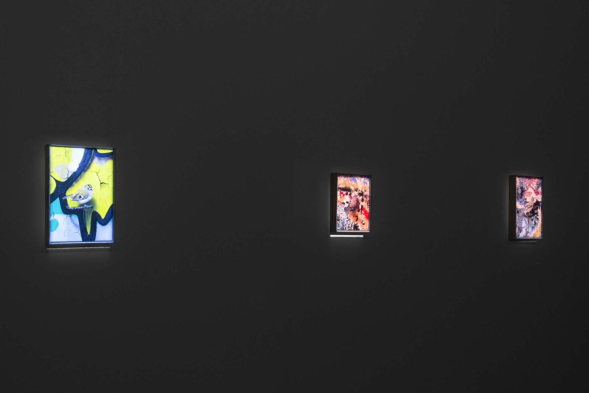 Installation view from 'Albion' Mat Collishaw at Gary Tatintsian Gallery, Feb 2–Jun 2, 2018