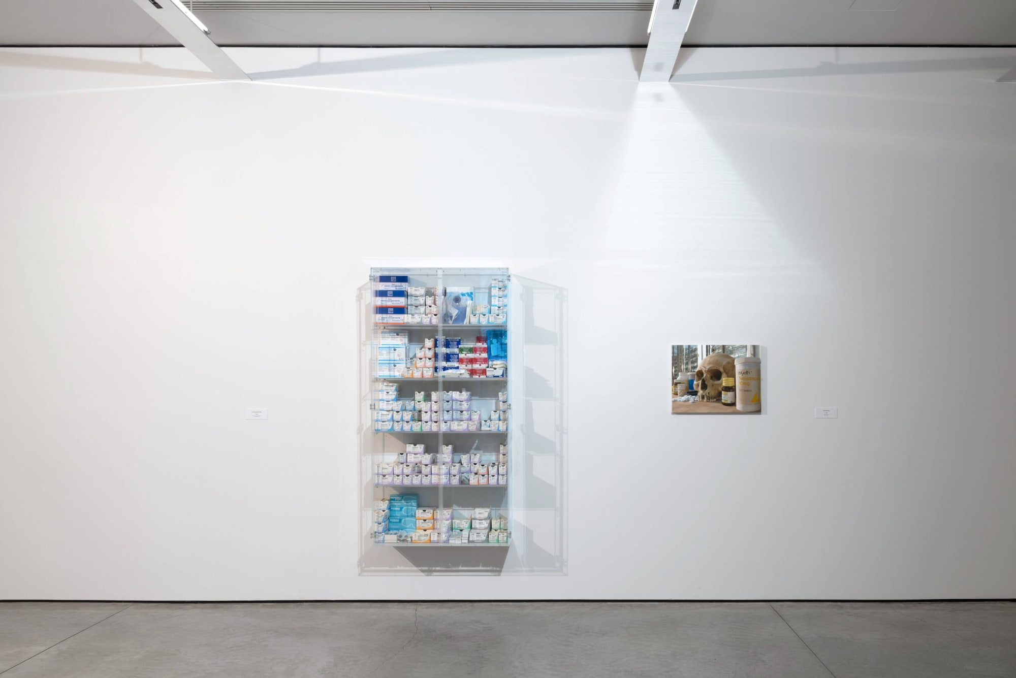 Installation view from Damien Hirst at Gary Tatintsian Gallery, March 31—June 1, 2017