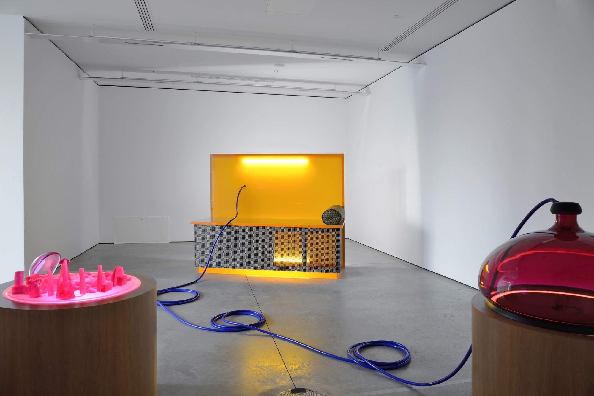 Installation view from Mutated reality at Gary Tatintsian Gallery, November 27, 2015–March 2, 2016