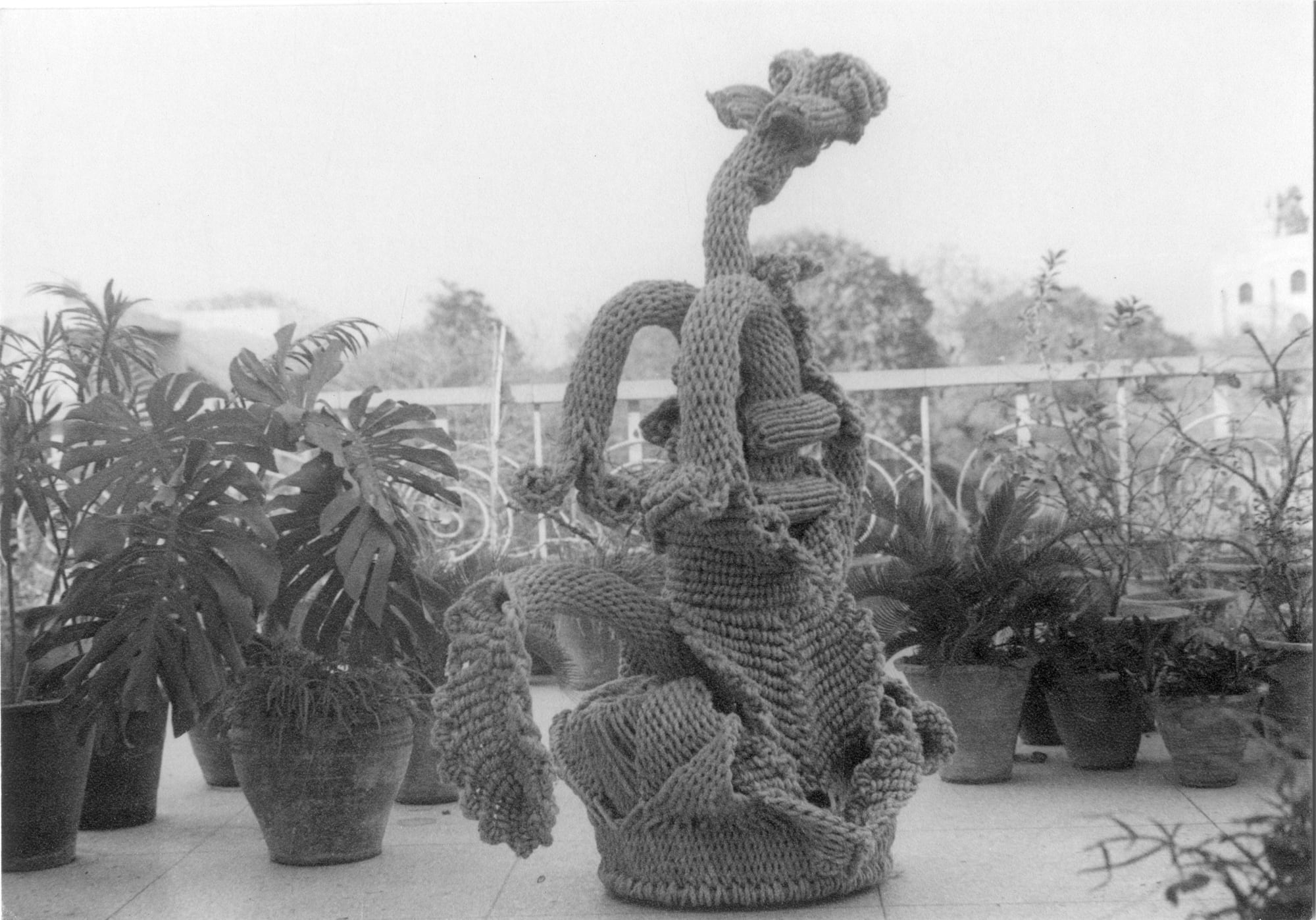 Mukherjee's early work titled Tentacles captured in a B&W Negative, as it unfurls its sinuous form in the terrace studio, 1976–77.