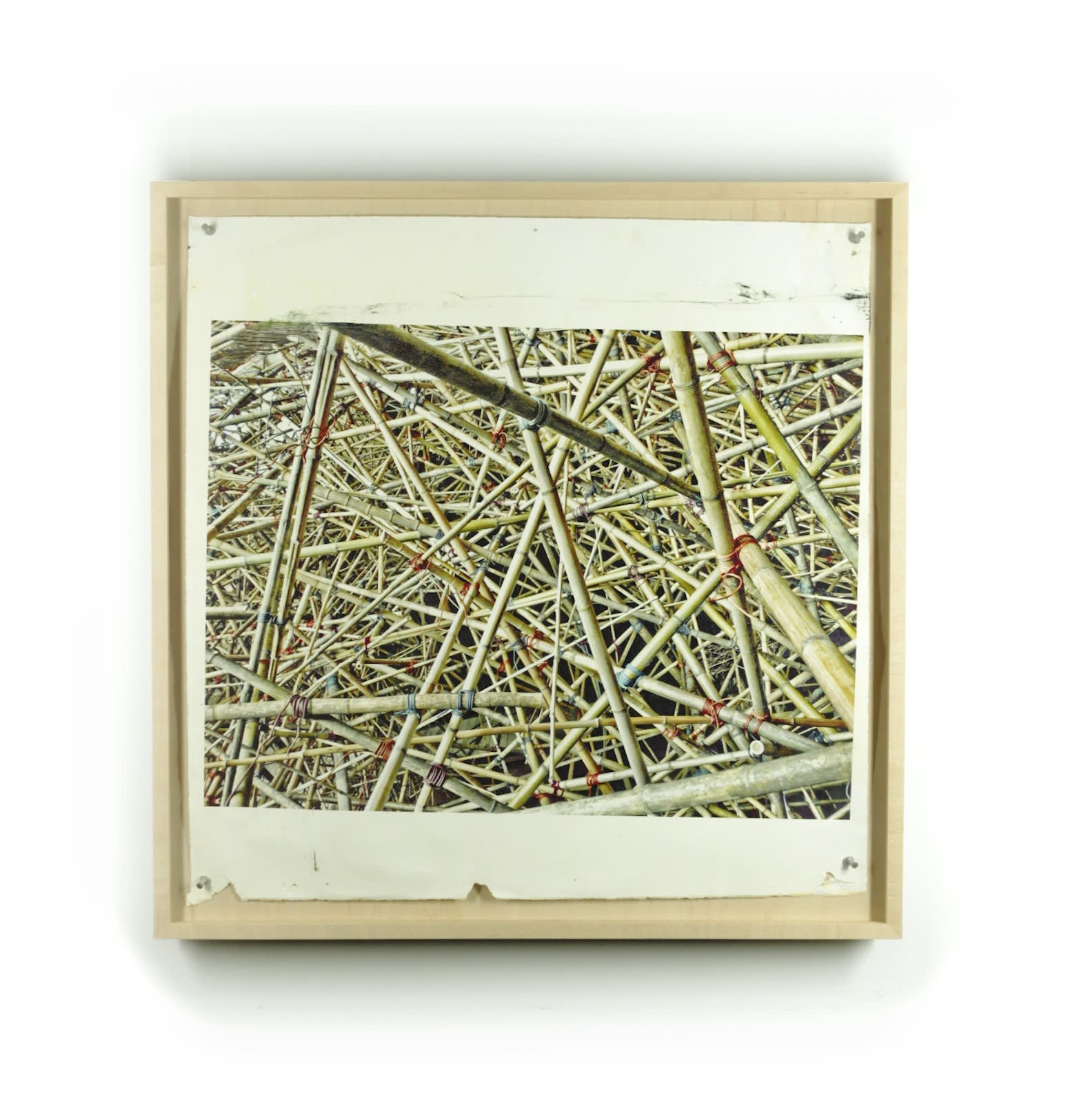 Can’t, Won’t, Don’t Stop