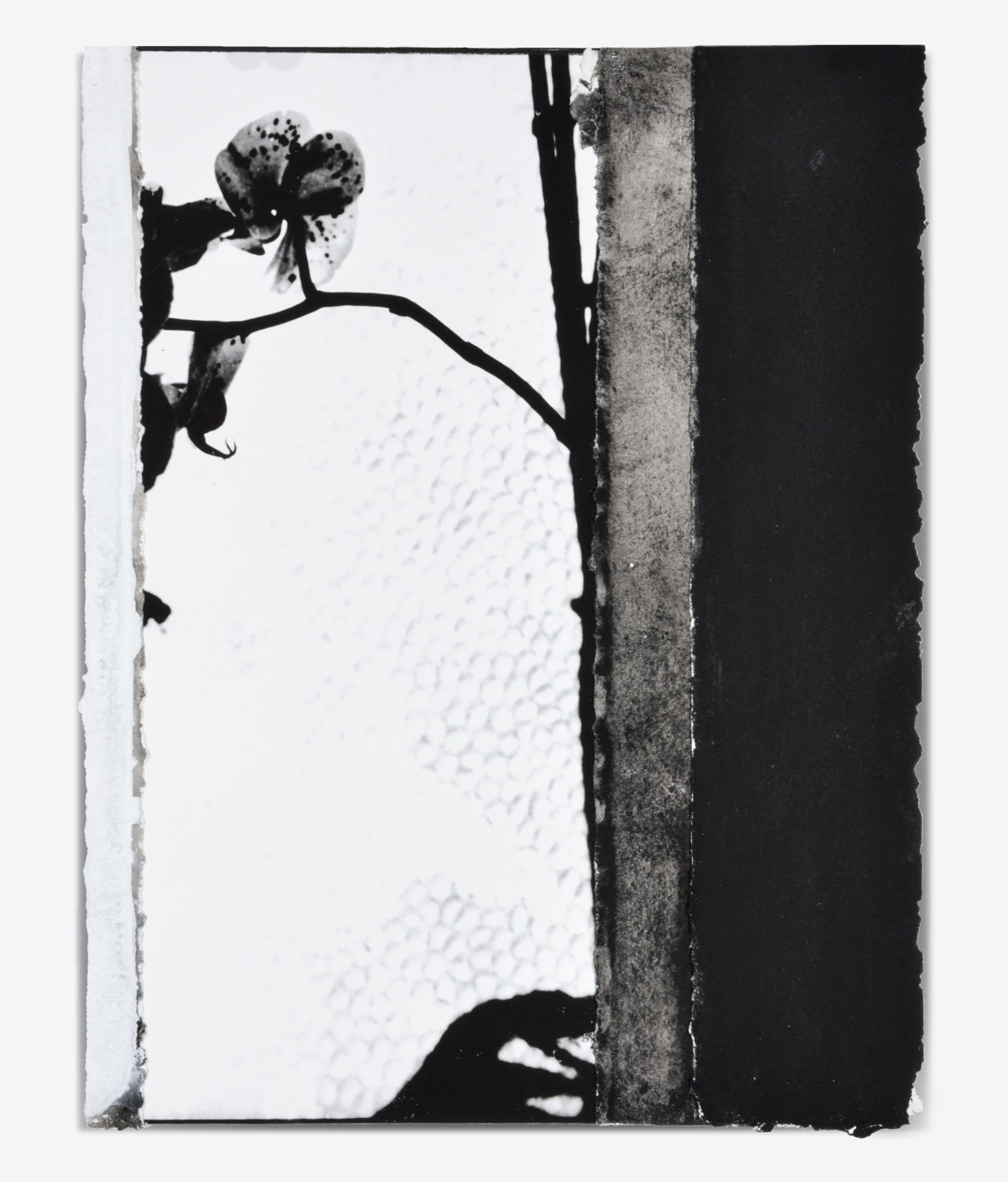 Ian McKeever: Gerlinde