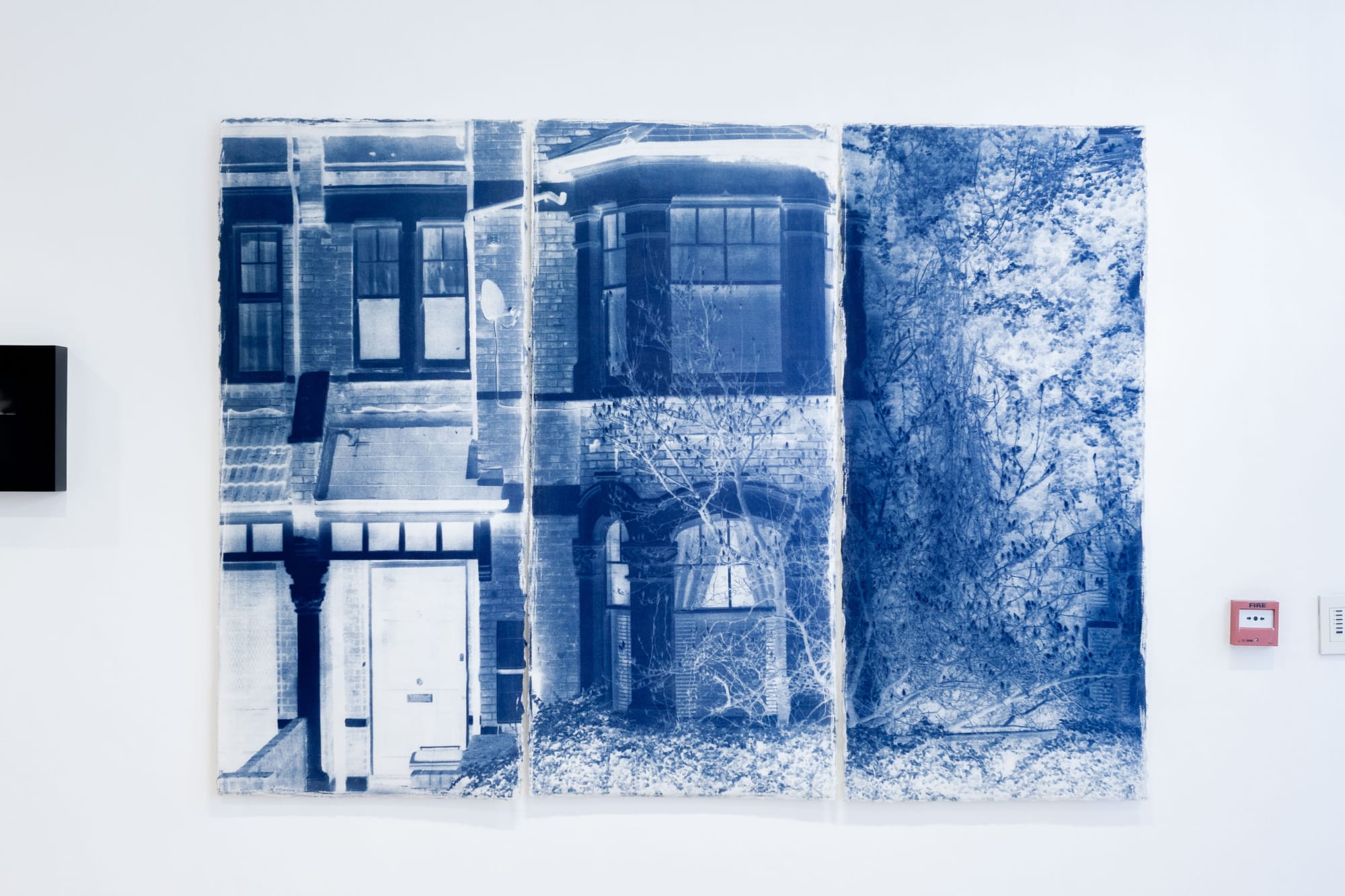 Landscape and Alchemy