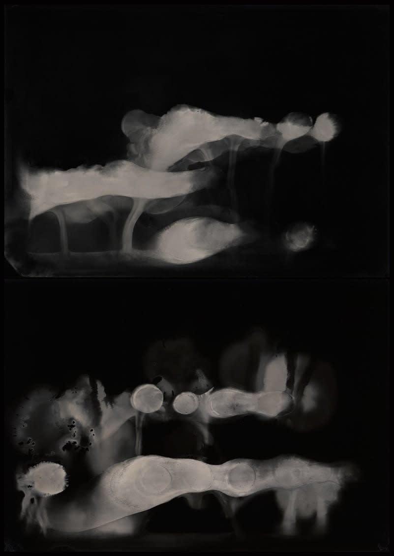 Nadezda Nikolova-Kratzer: Elemental Forms, Landscape