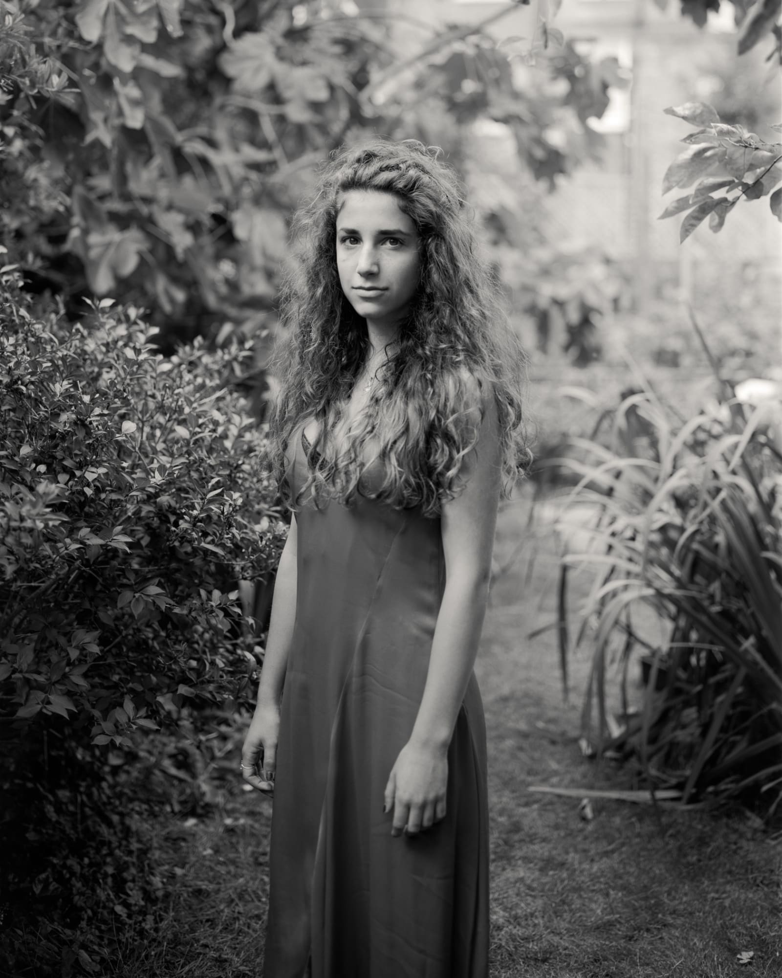 Alys Tomlinson: Lost Summer