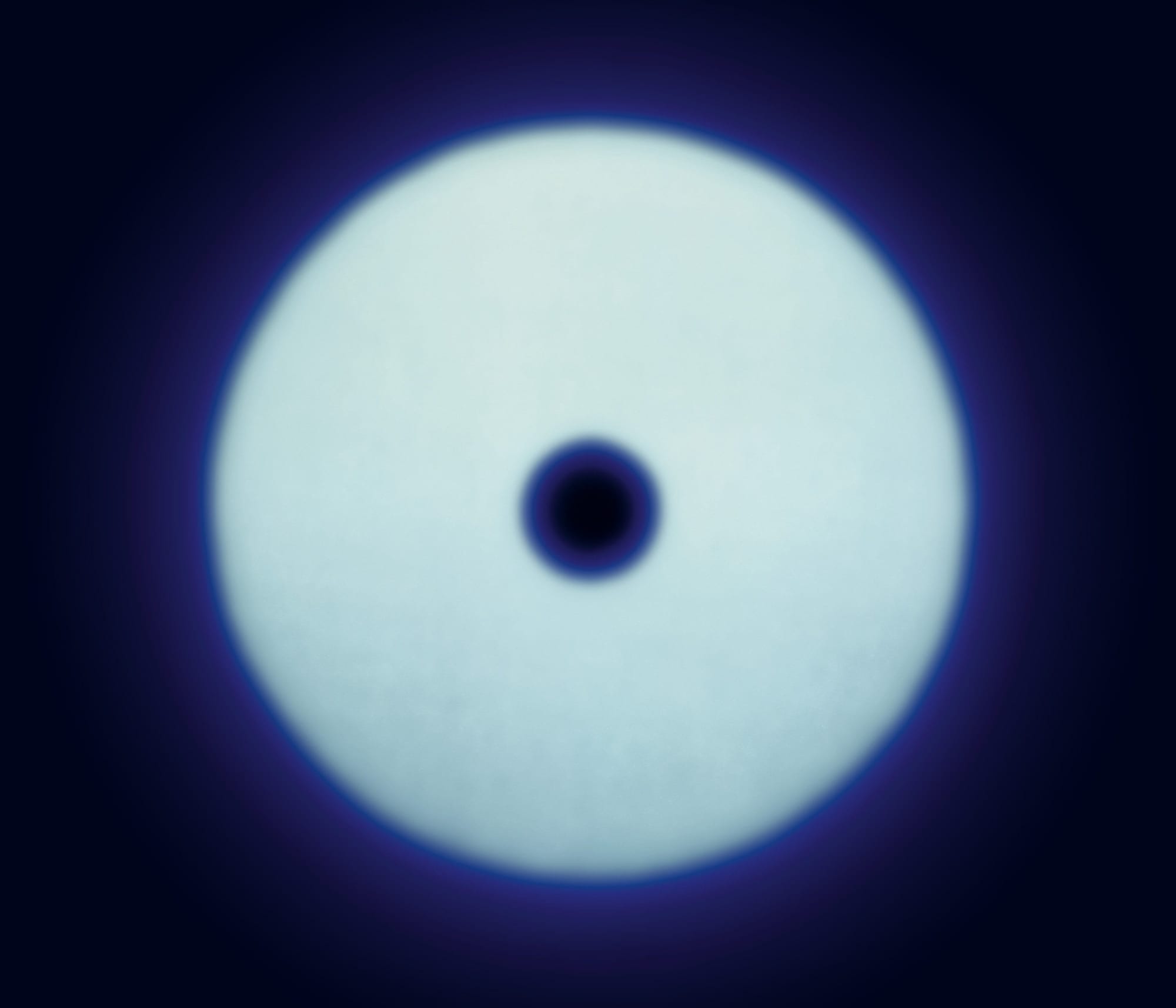 HackelBury: Twenty-one