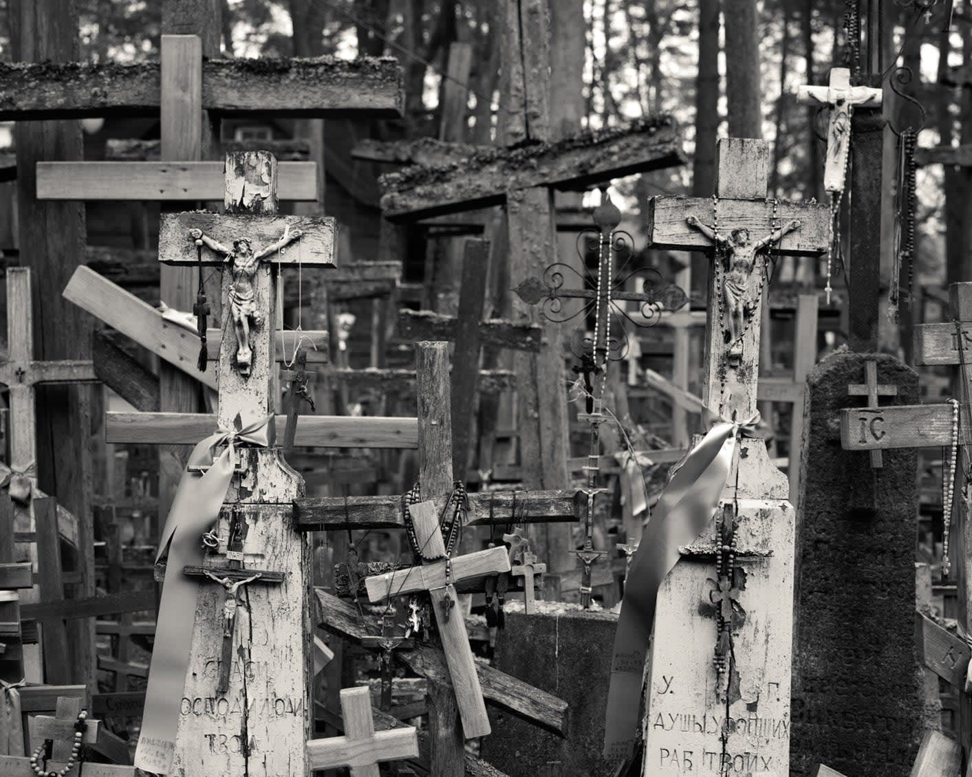 Alys Tomlinson: Ex-Voto