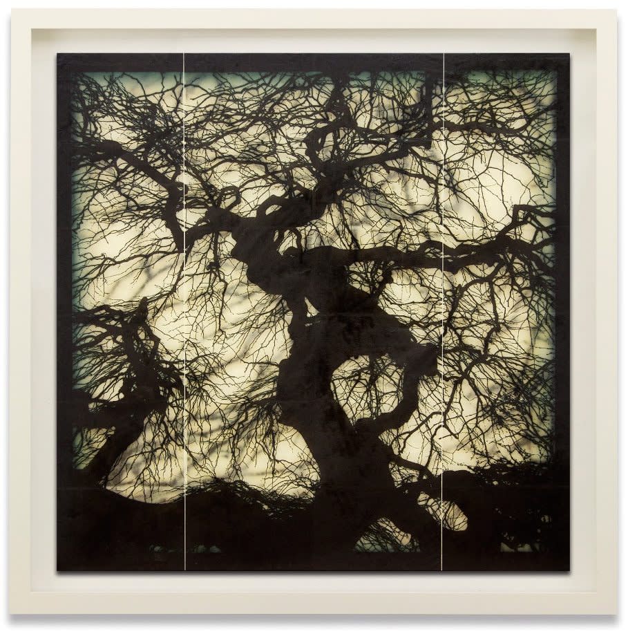 Leitmotif: Doug & Mike Starn, Garry Fabian Miller, Ian McKeever, Bill Armstrong, Pascal Kern