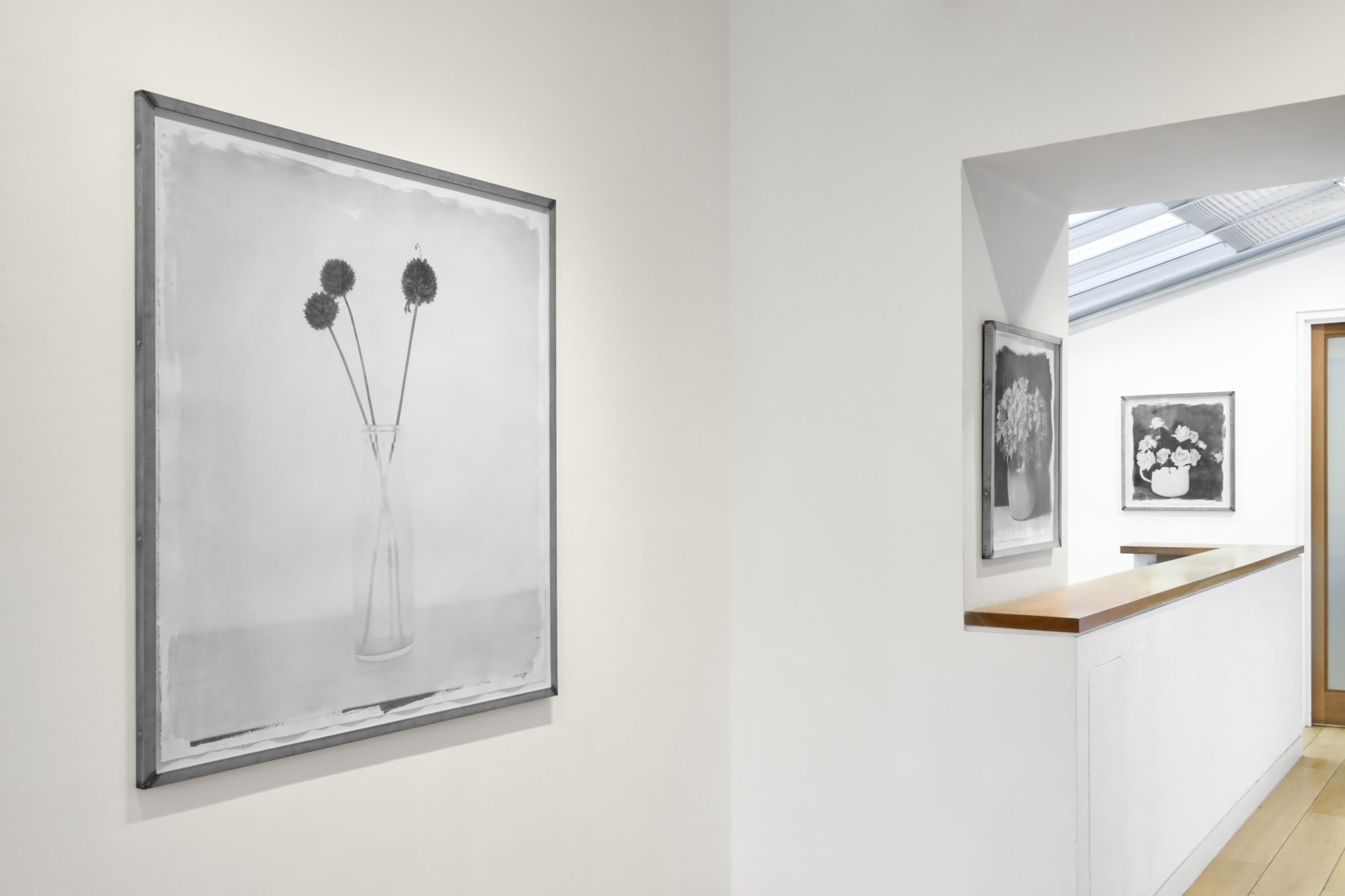 Stephen Inggs : Botanical Legacies