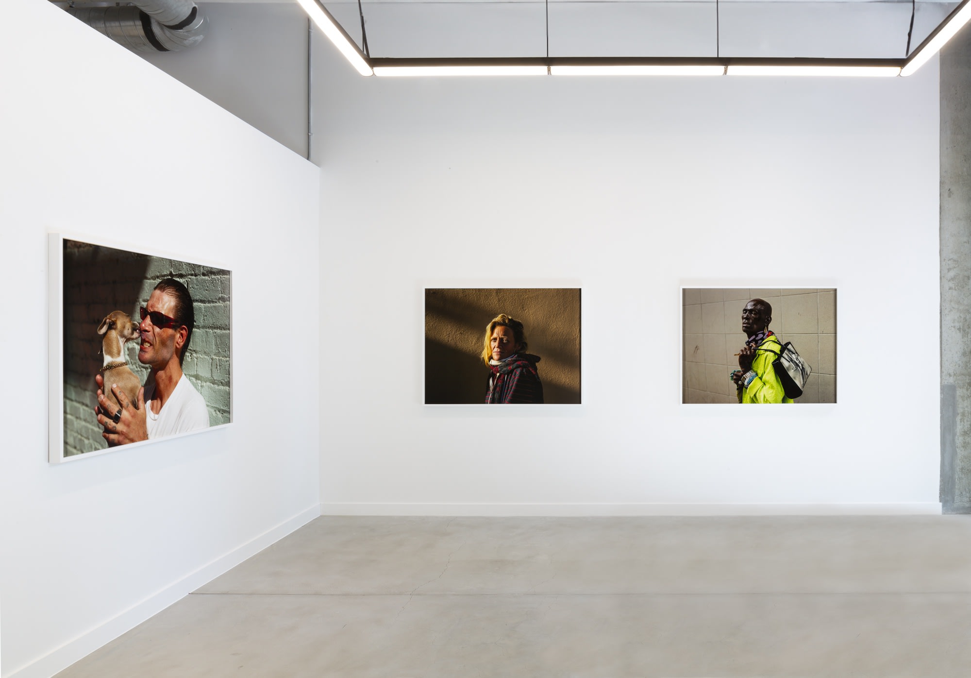 Californian Wildflowers