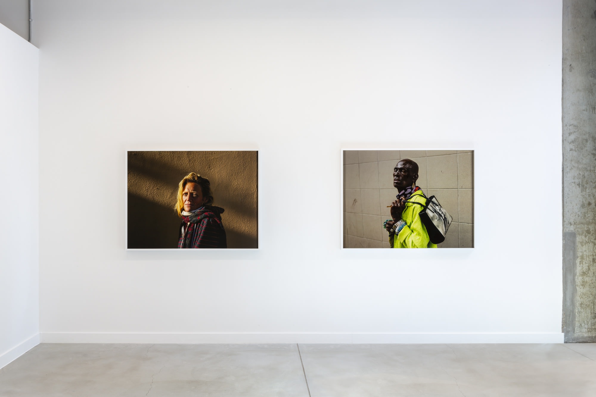 Californian Wildflowers