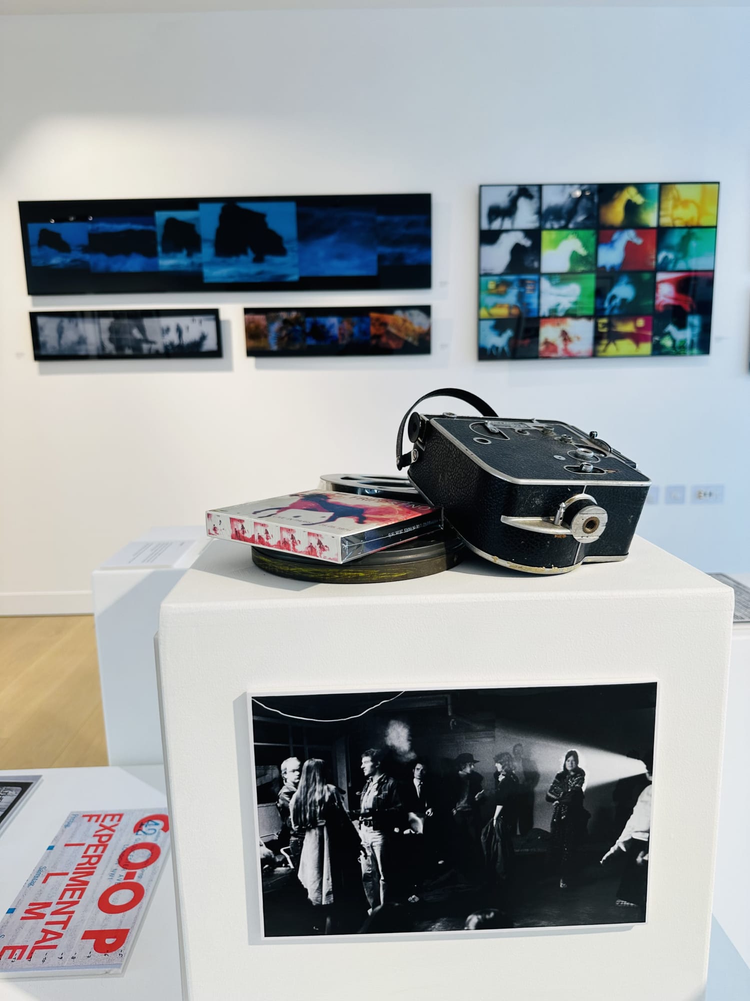 DNA : AND | MALCOLM LE GRICE