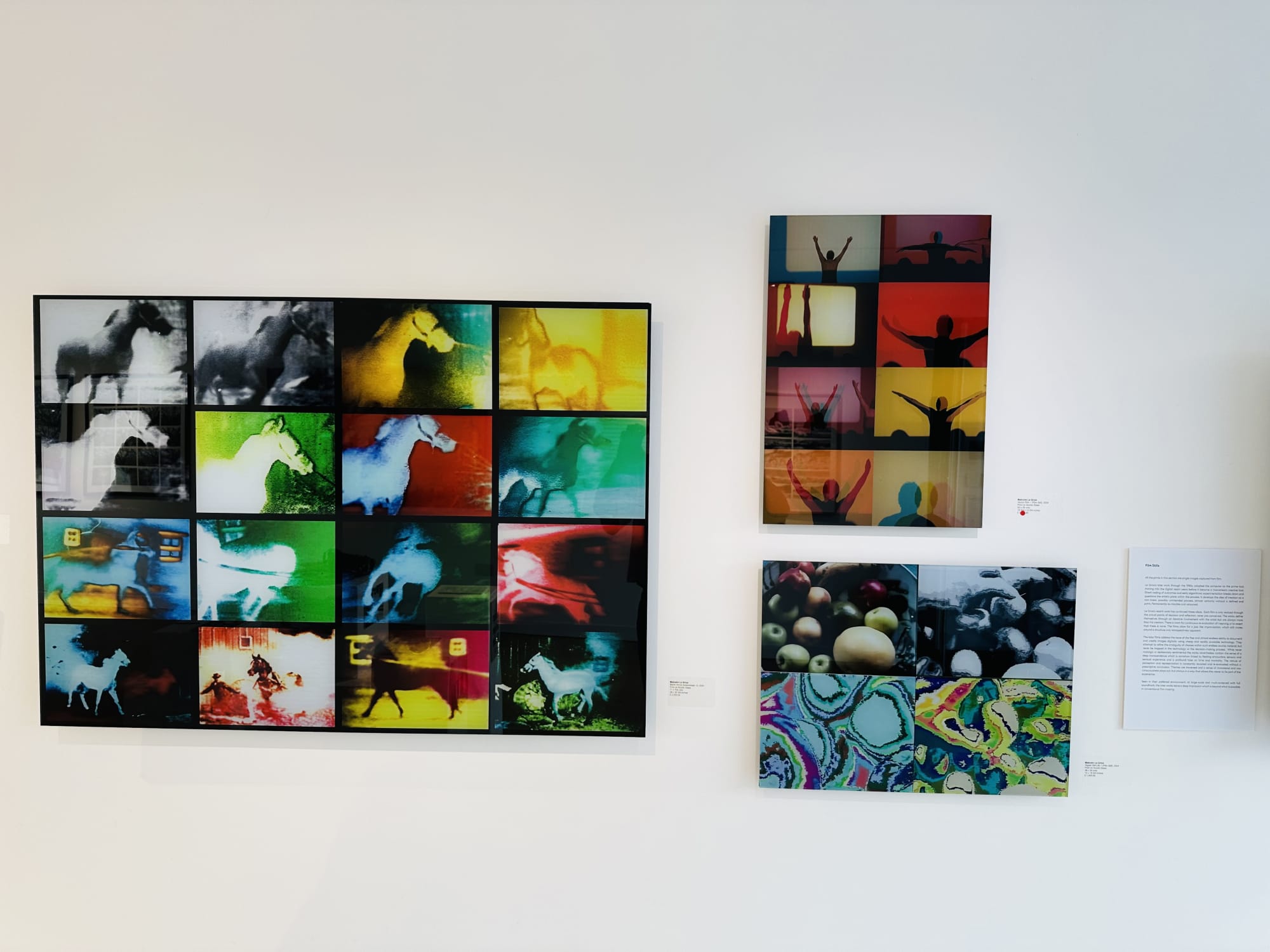 DNA : AND | MALCOLM LE GRICE