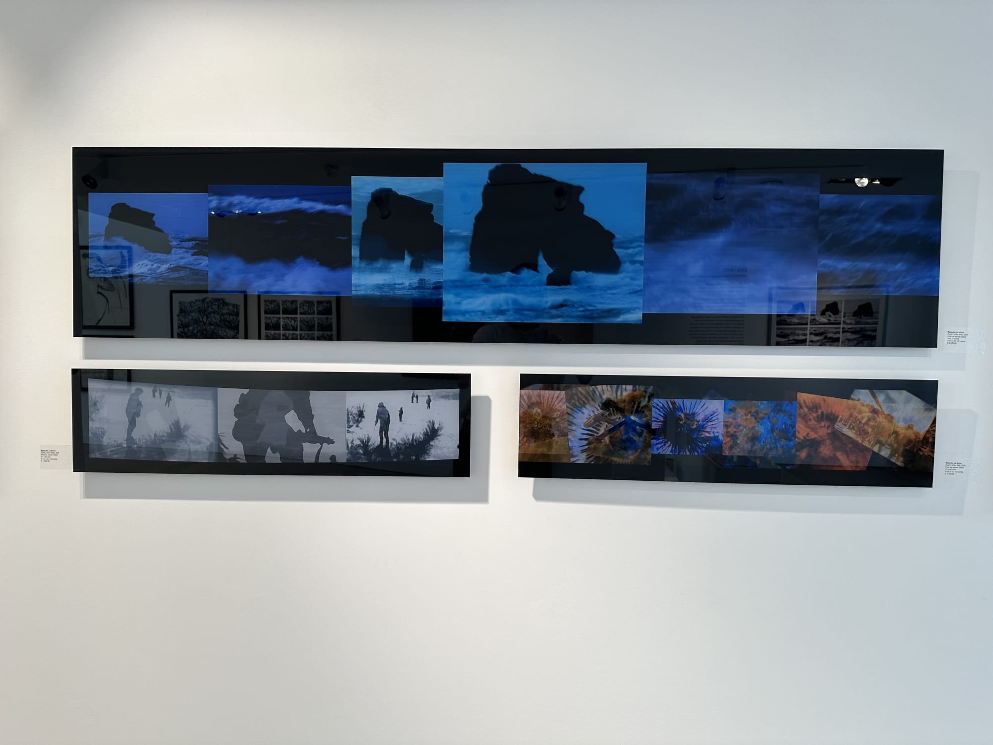 DNA : AND | MALCOLM LE GRICE