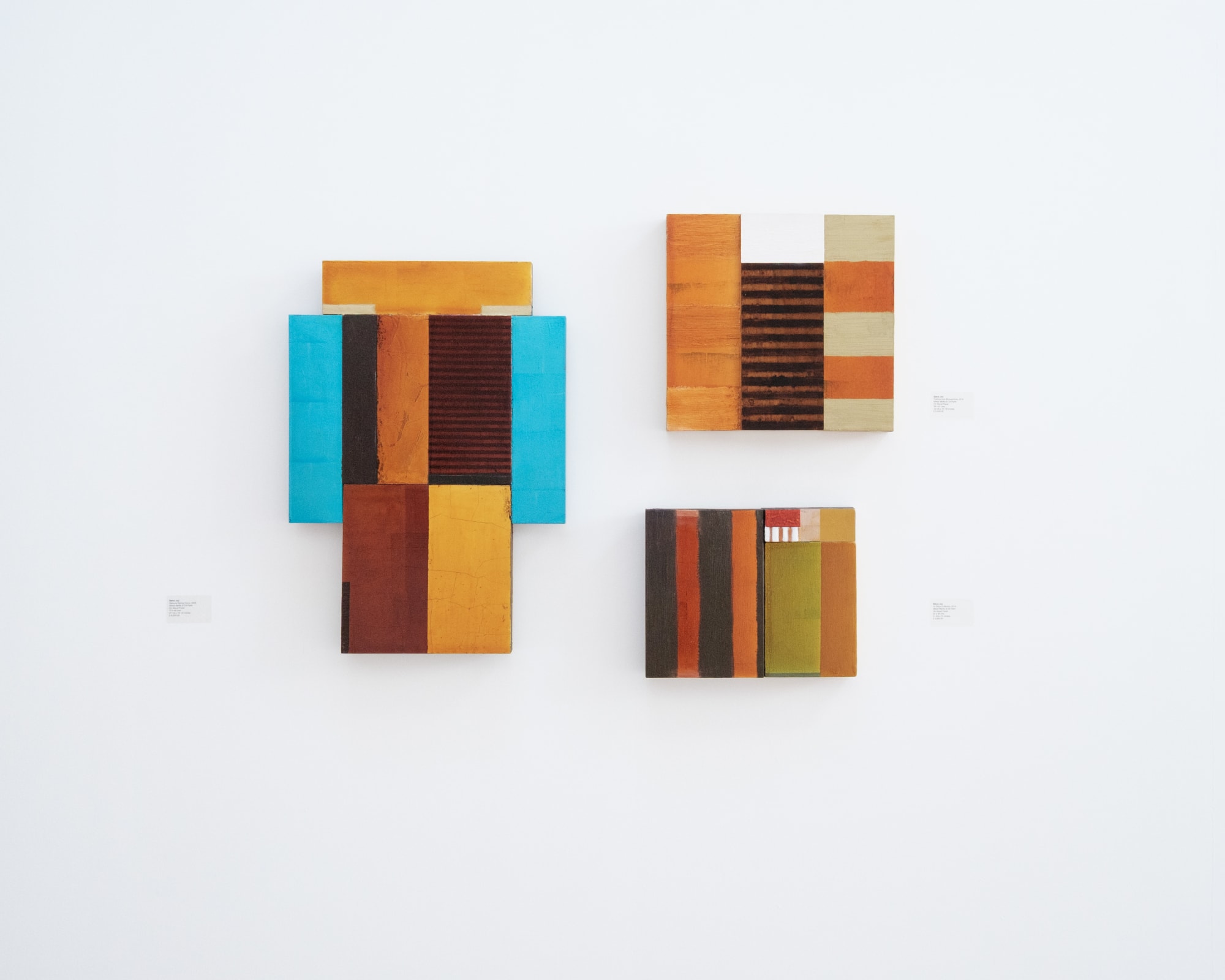 Steve Joy | Forbidden Colours