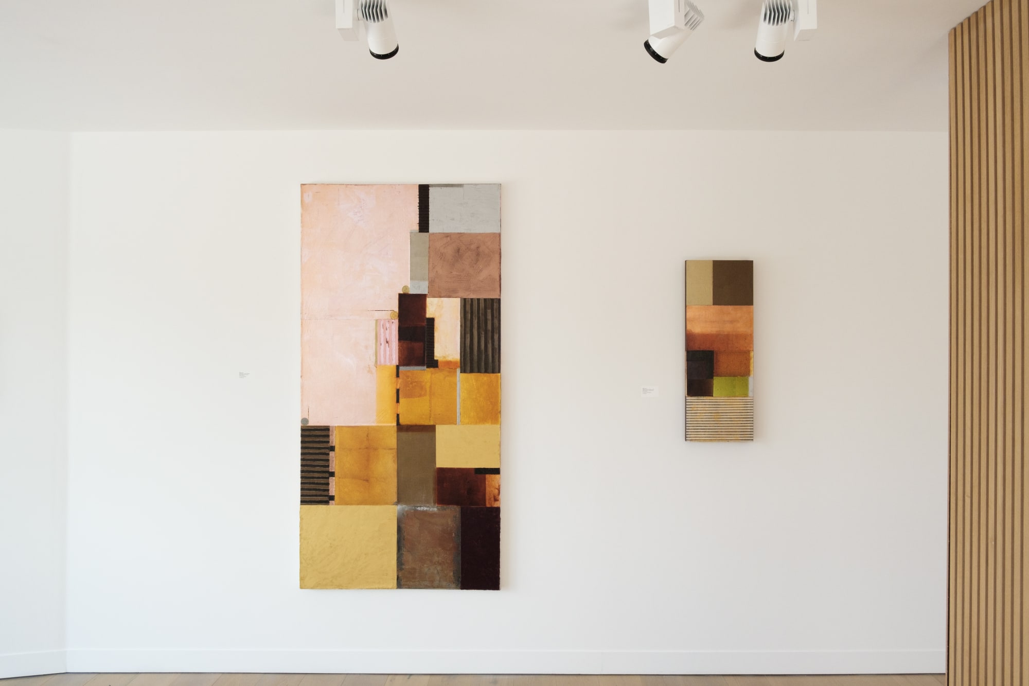 Steve Joy | Forbidden Colours