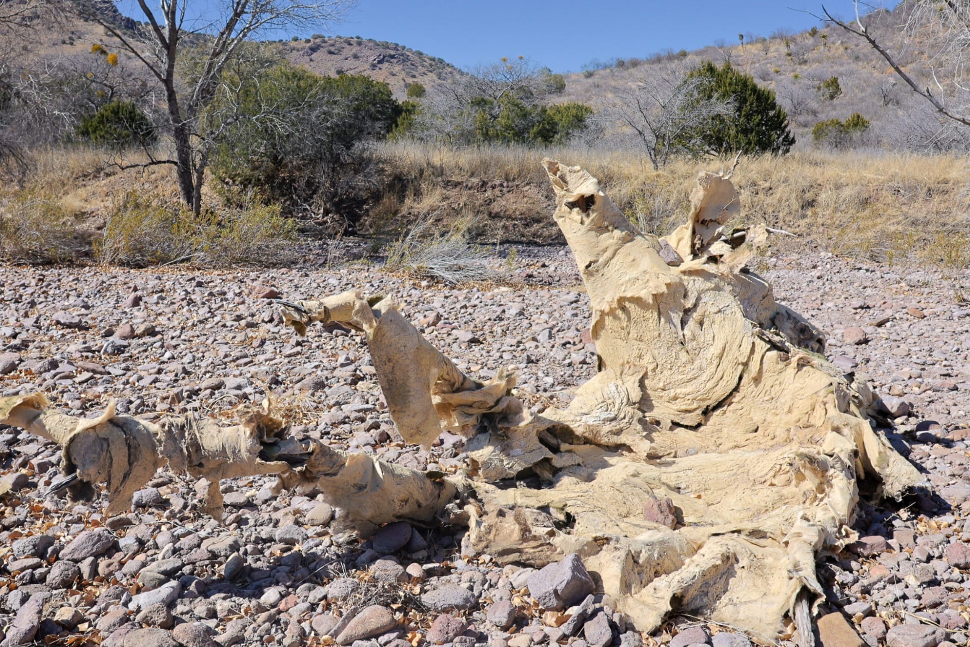 "Deer Kill Adobe": Fort Davis, TX