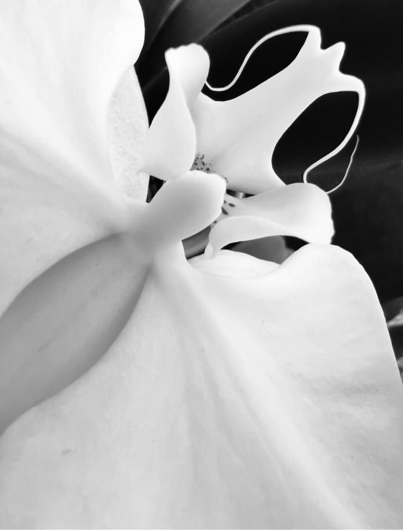 Fabrik Projects Holiday Gift Guide