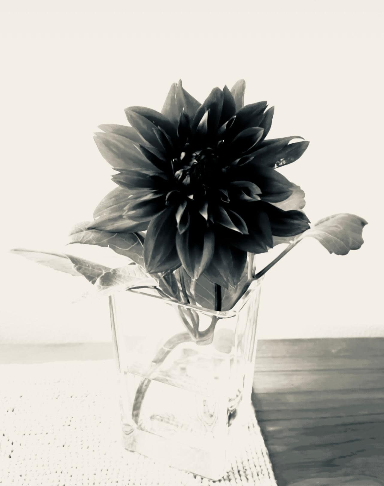 Fabrik Projects Holiday Gift Guide