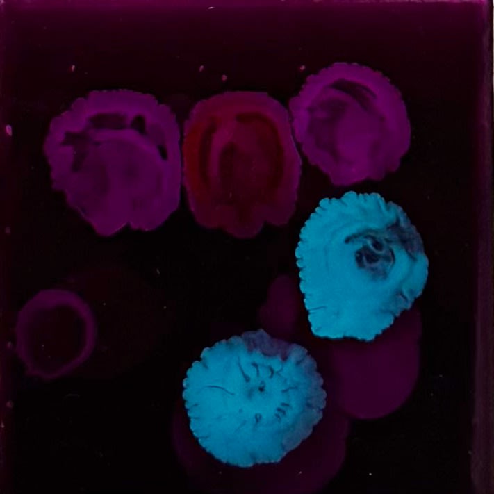 Fabrik Projects Holiday Gift Guide