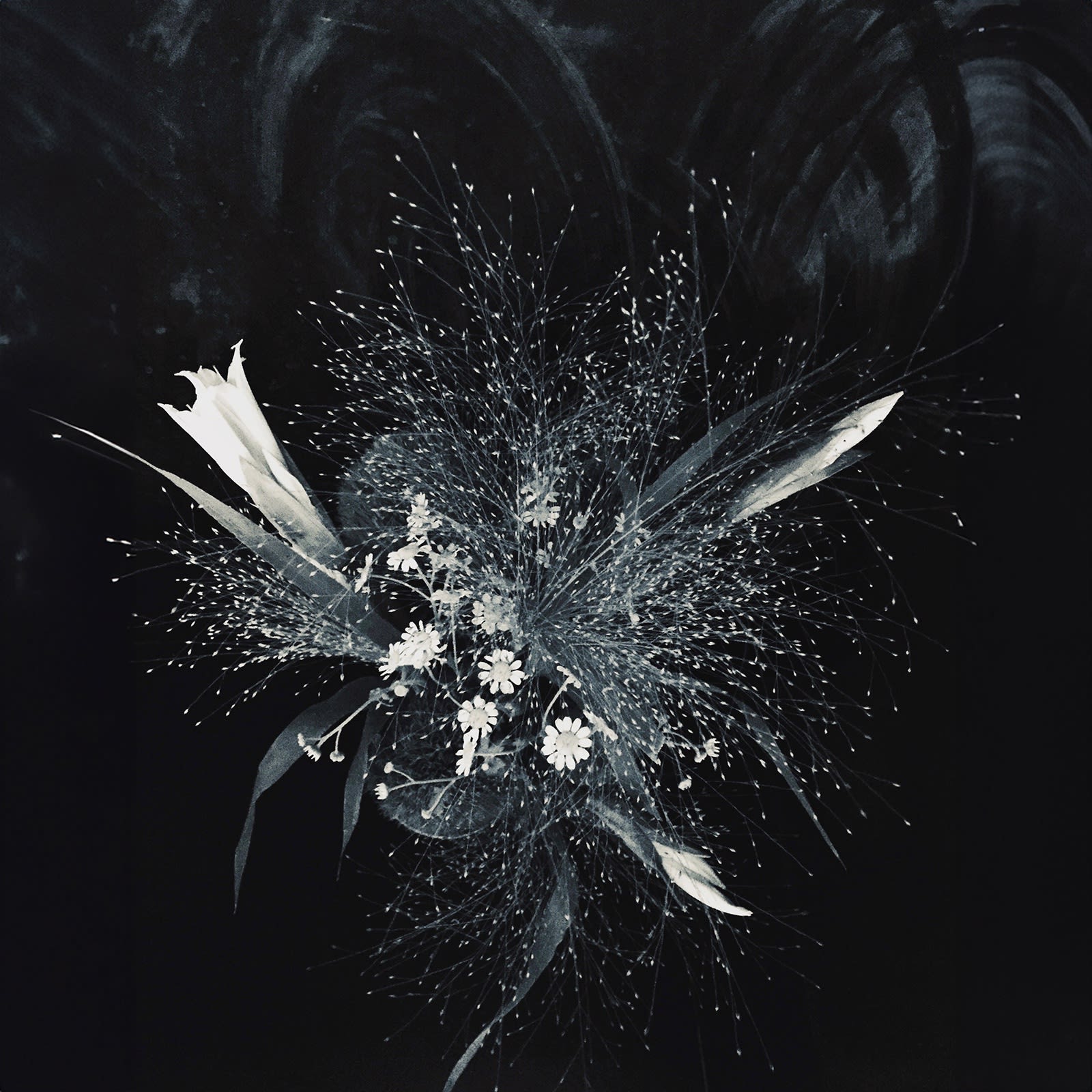 Fabrik Projects Holiday Gift Guide