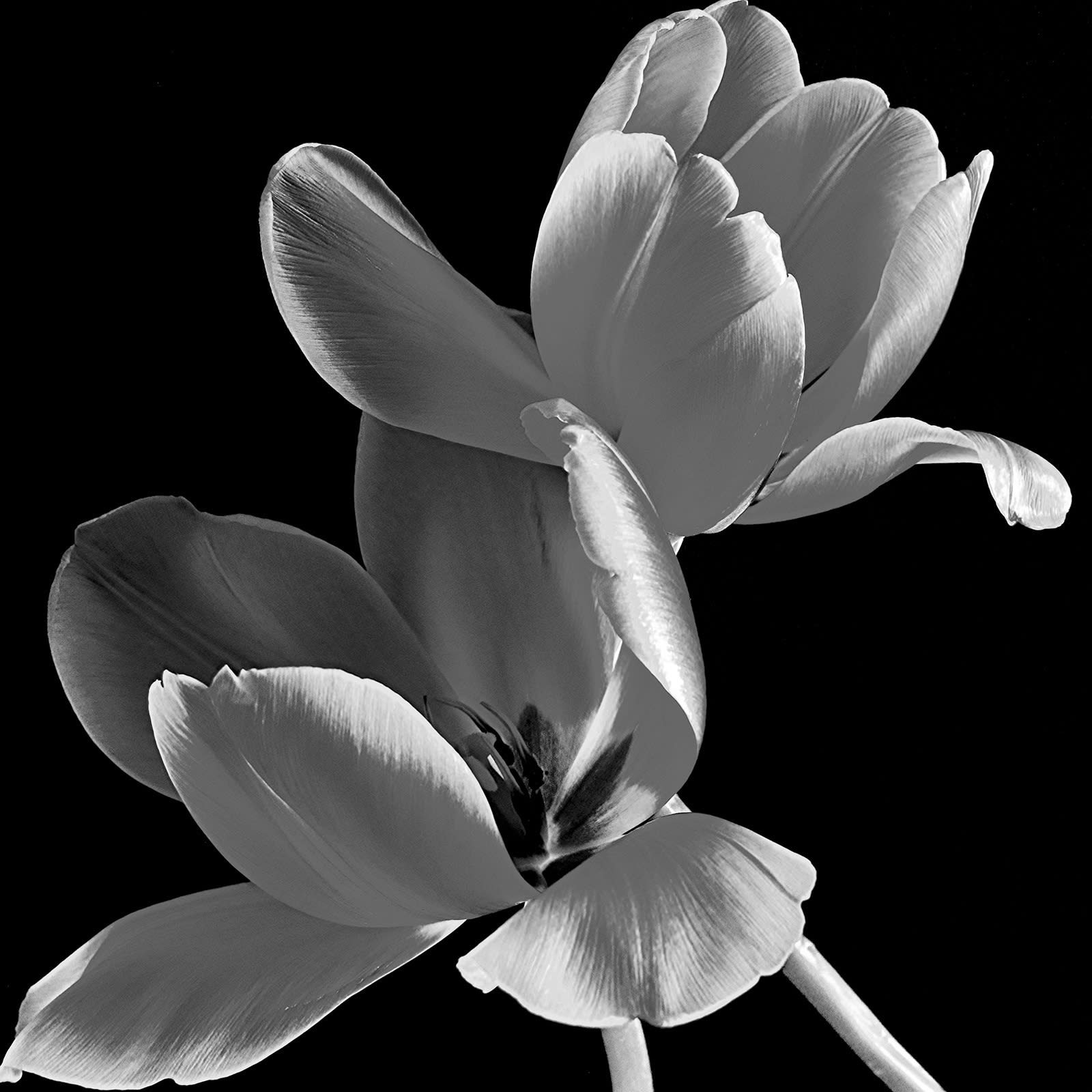 Fabrik Projects Holiday Gift Guide