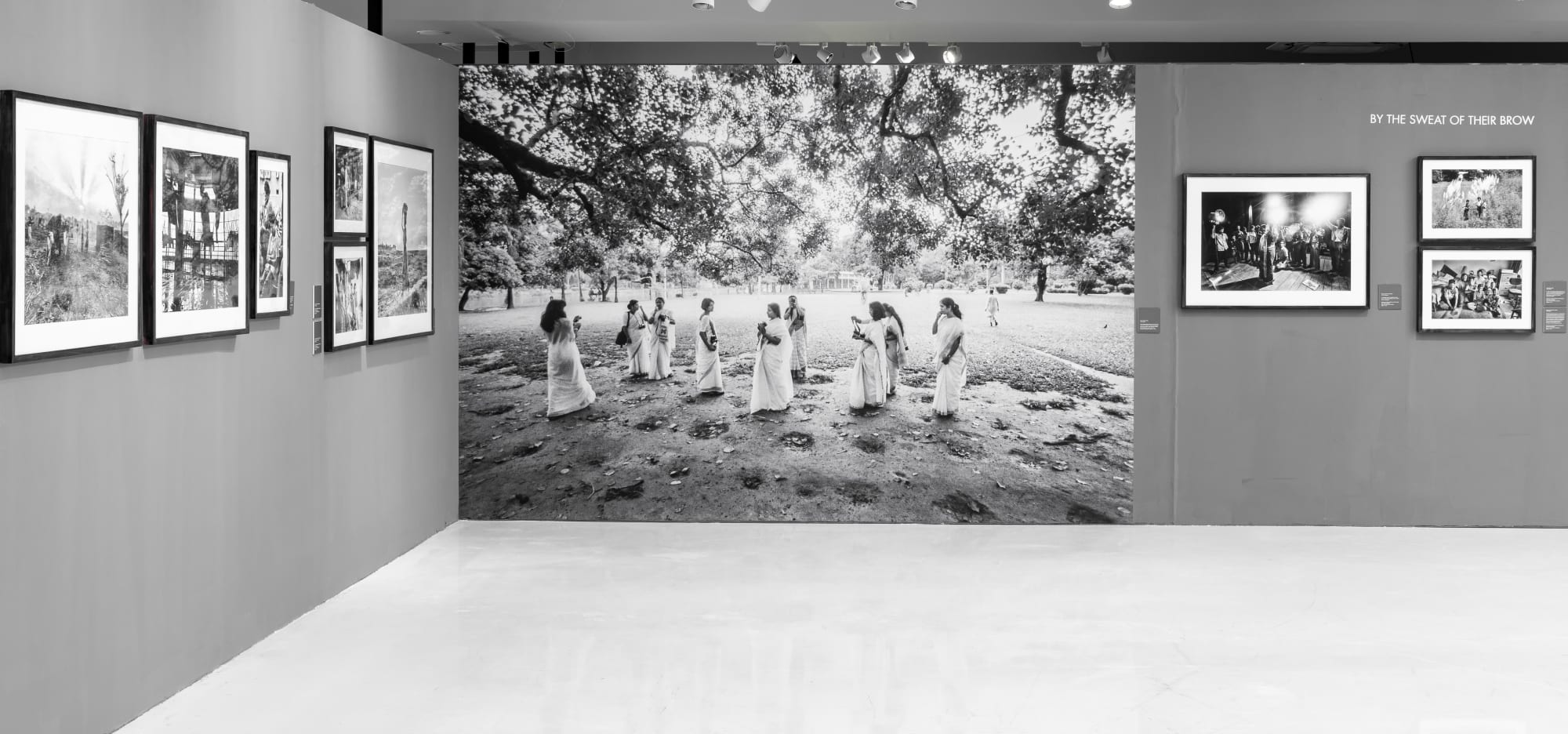 Shahidul Alam: Singed But Not Burnt