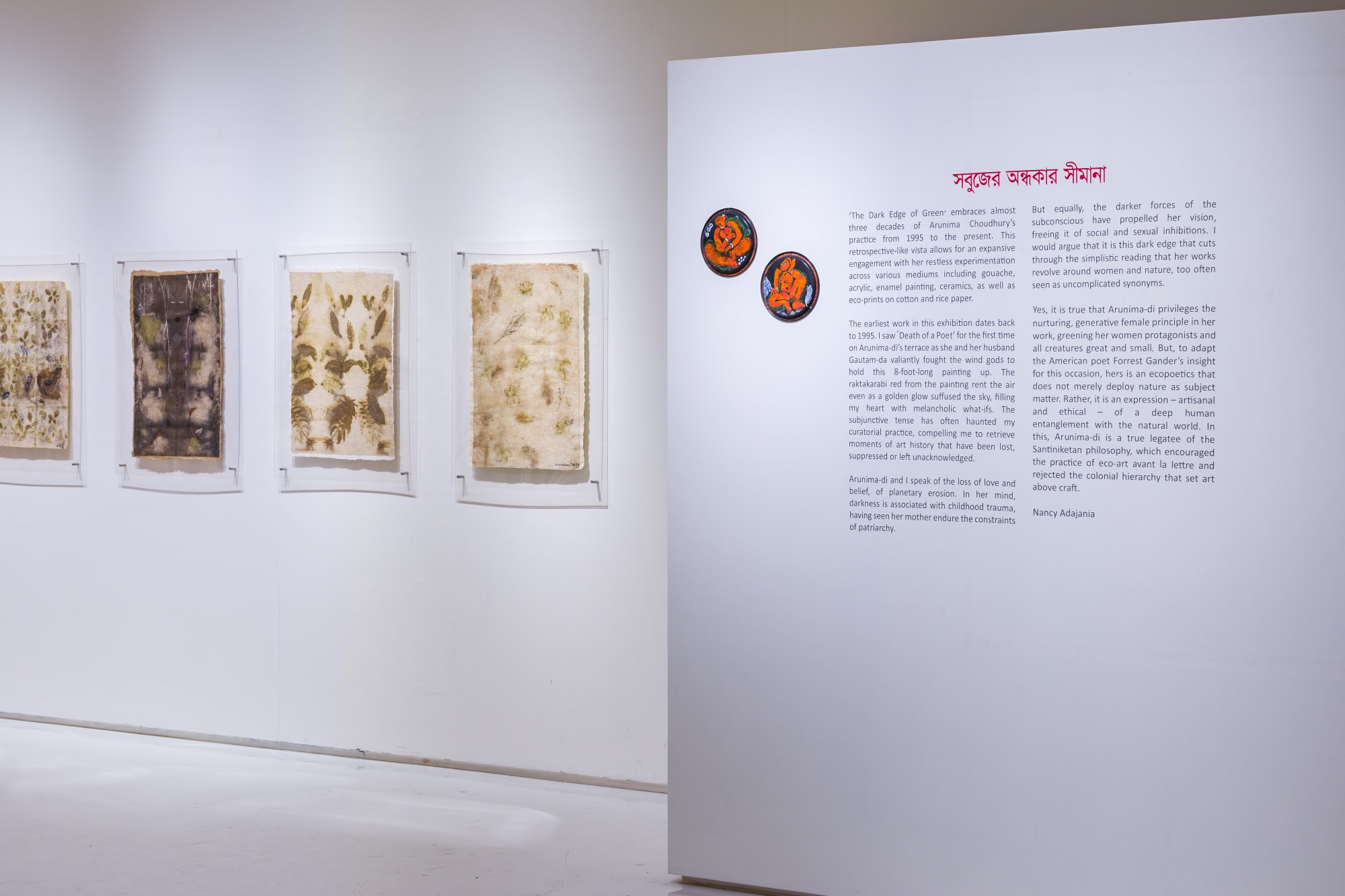 The Dark Edge of Green Arunima Choudhury Works from 1995-2022