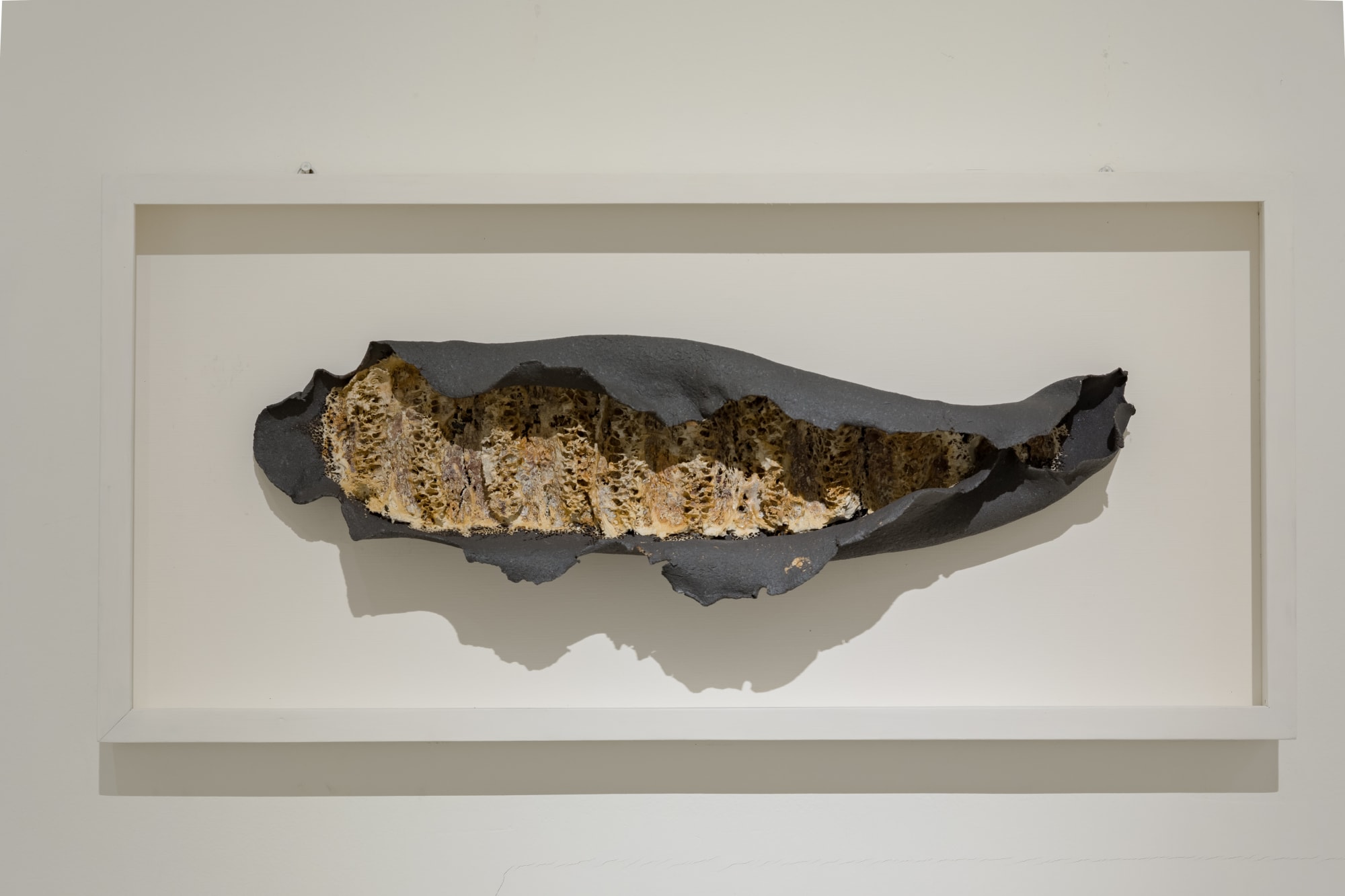 Bhu - Tatva / भू – तत्व: Elements of Earth