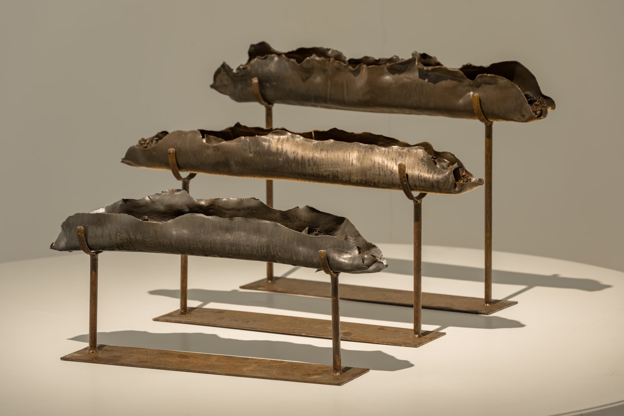 Bhu - Tatva / भू – तत्व: Elements of Earth