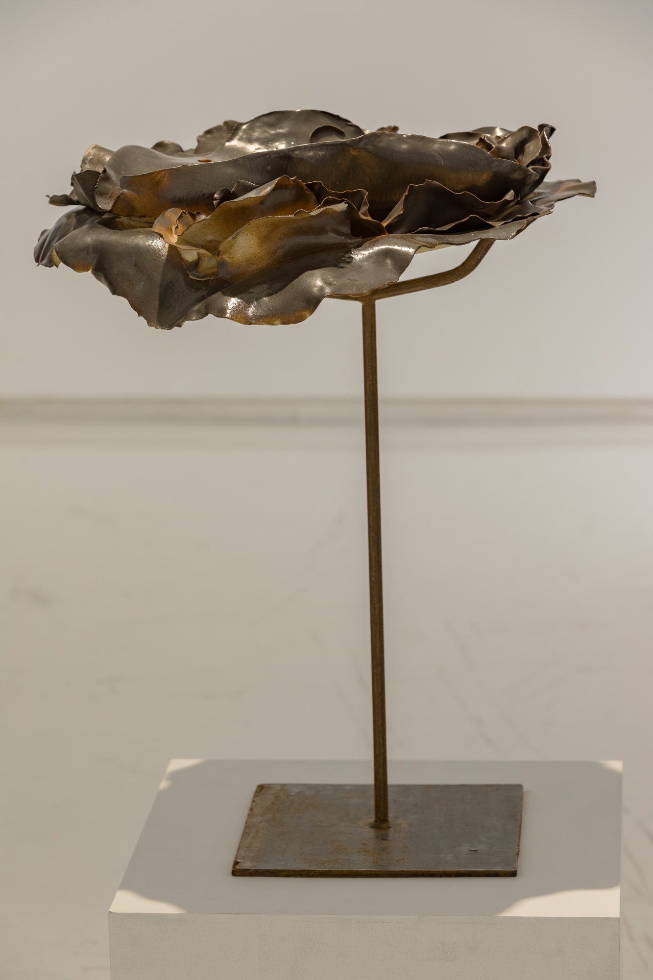 Bhu - Tatva / भू – तत्व: Elements of Earth