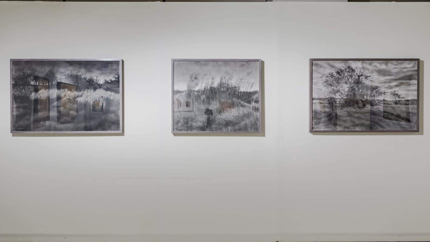 Garden of Infinite Desires