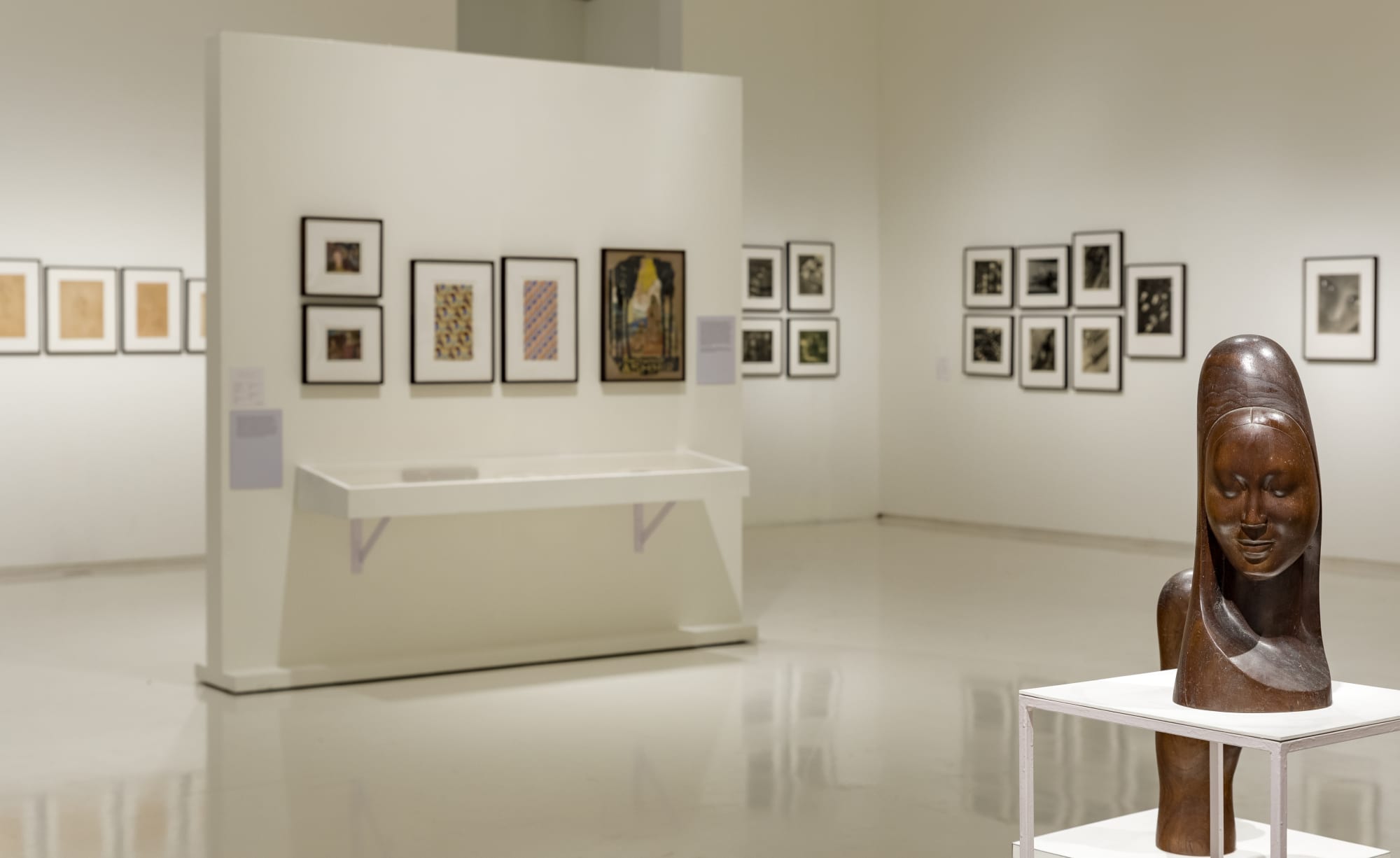 Lalit Mohan Sen: An Enduring Legacy