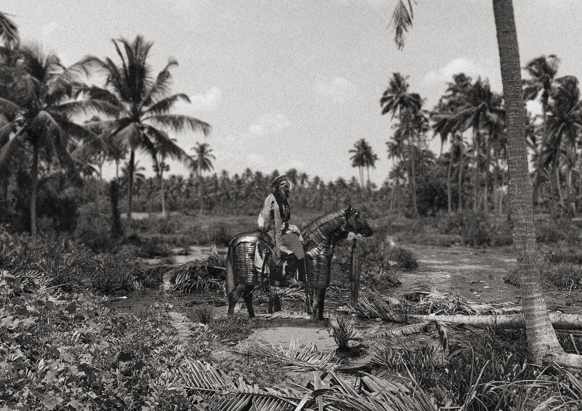 Ali Akbar P N (b.1996) Detail from ‘Screw Pine in the Salty Wind’ Archival inkjet print on paper 26.8 x 39 cm 2024 Baroda