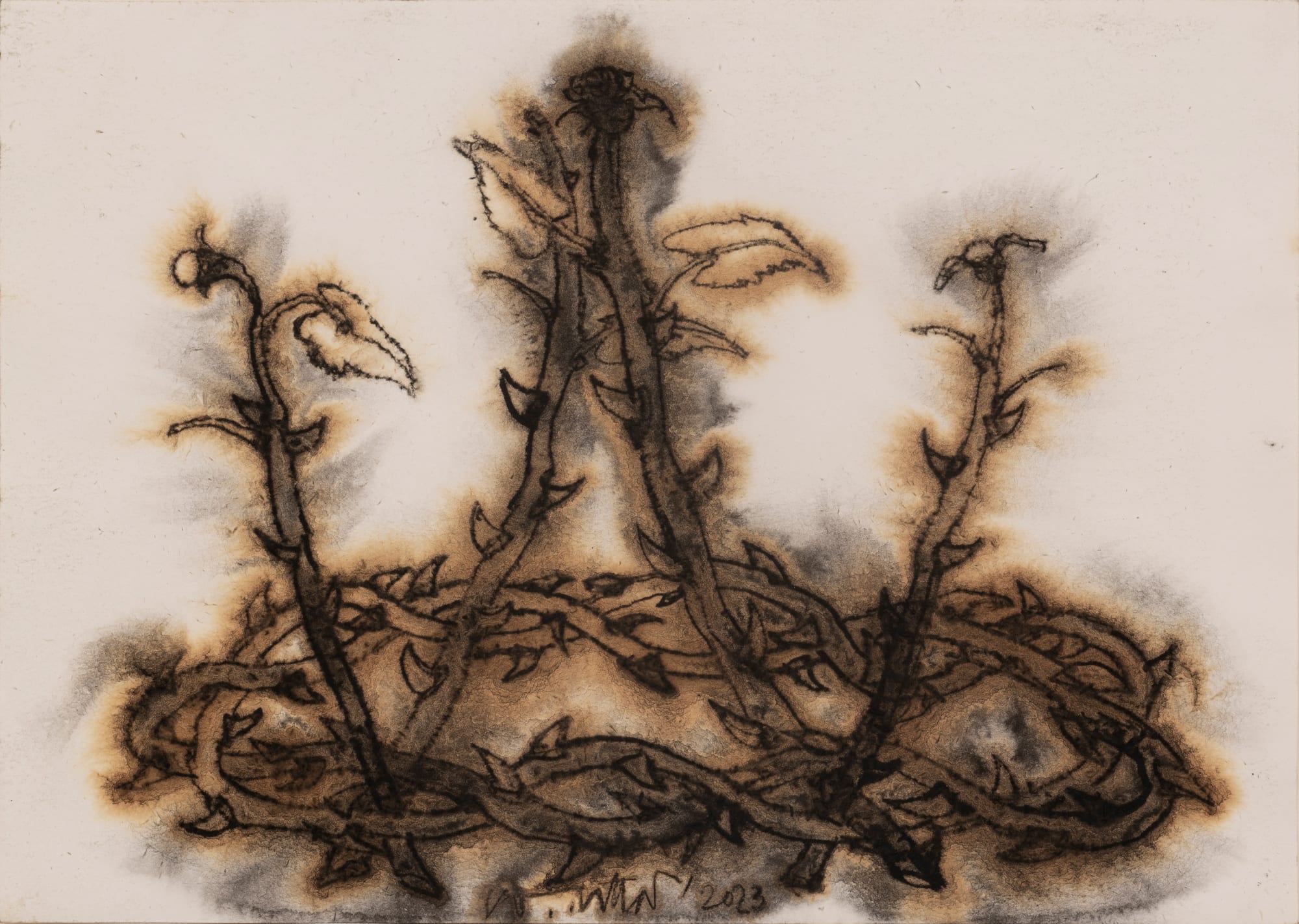 Chhatrapati Dutta (b.1964) Shah-Heen-Bagh - In Retrospect Charcoal, tea stain, and watercolour on paper 8.2 X 11.6 in. Set of 5 works 2023, Kolkata