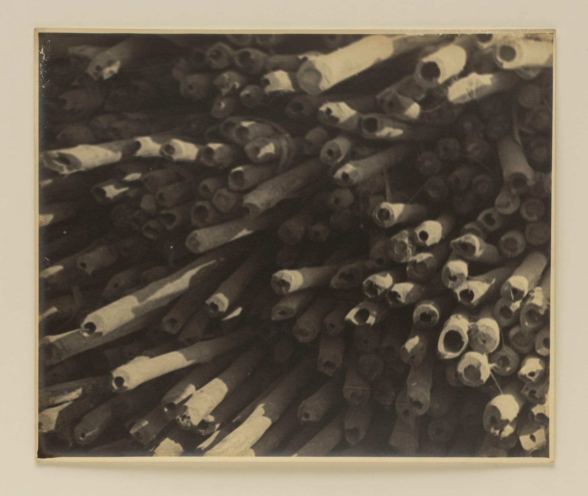 Lalit Mohan Sen, Stack of Bamboos, 1940s - 50s