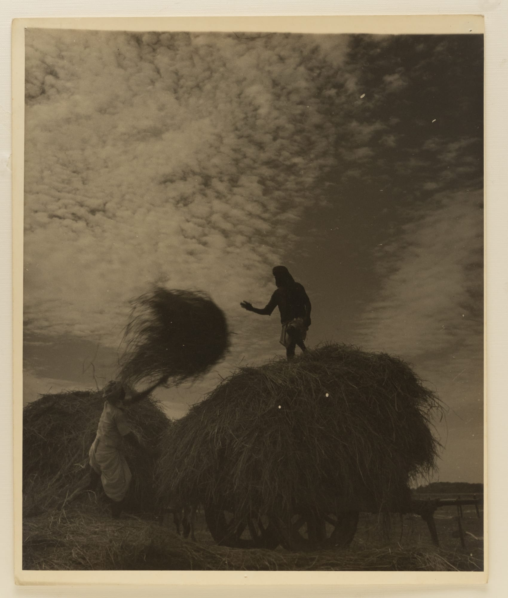 Lalit Mohan Sen, Loading Hay, c.1940s - 50s