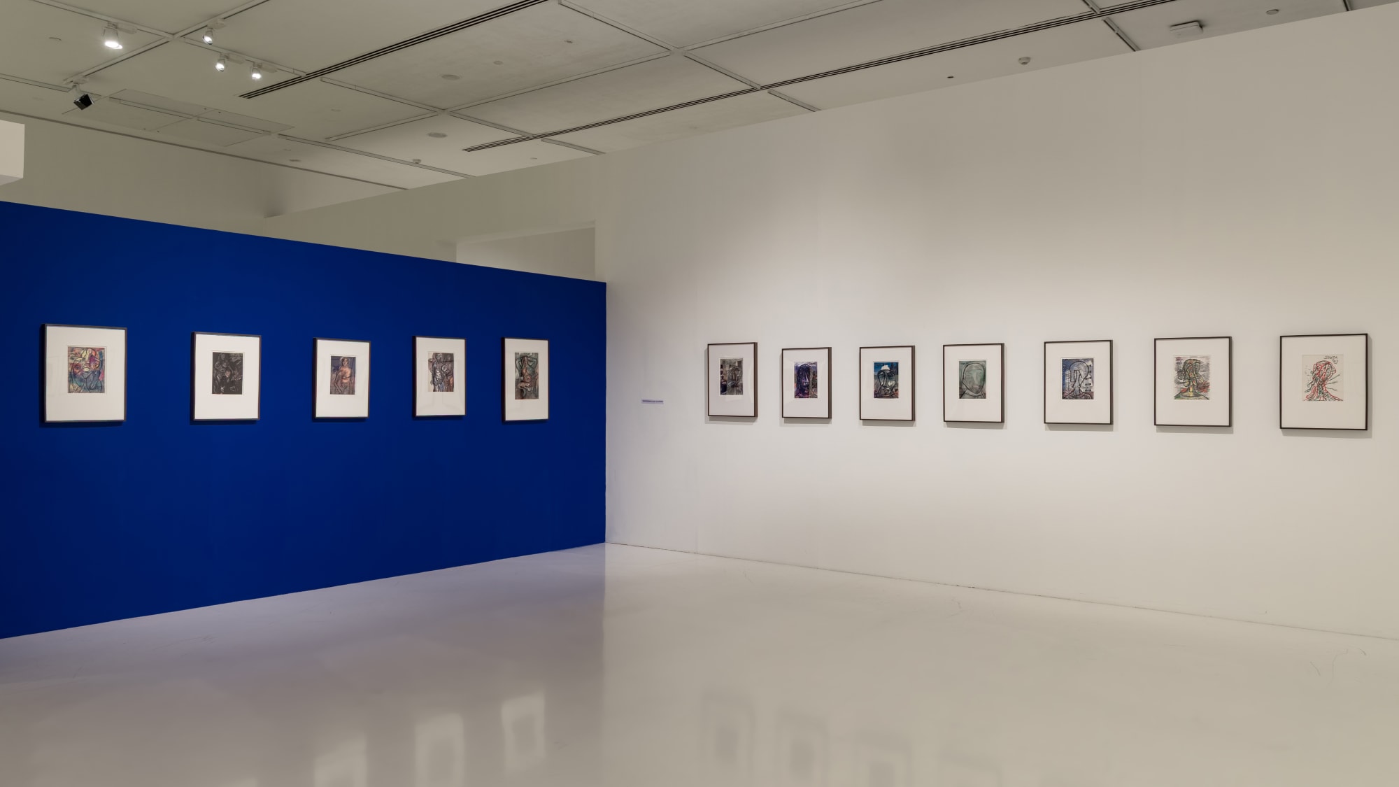 FN Souza: Drawings and Chemical Alterations