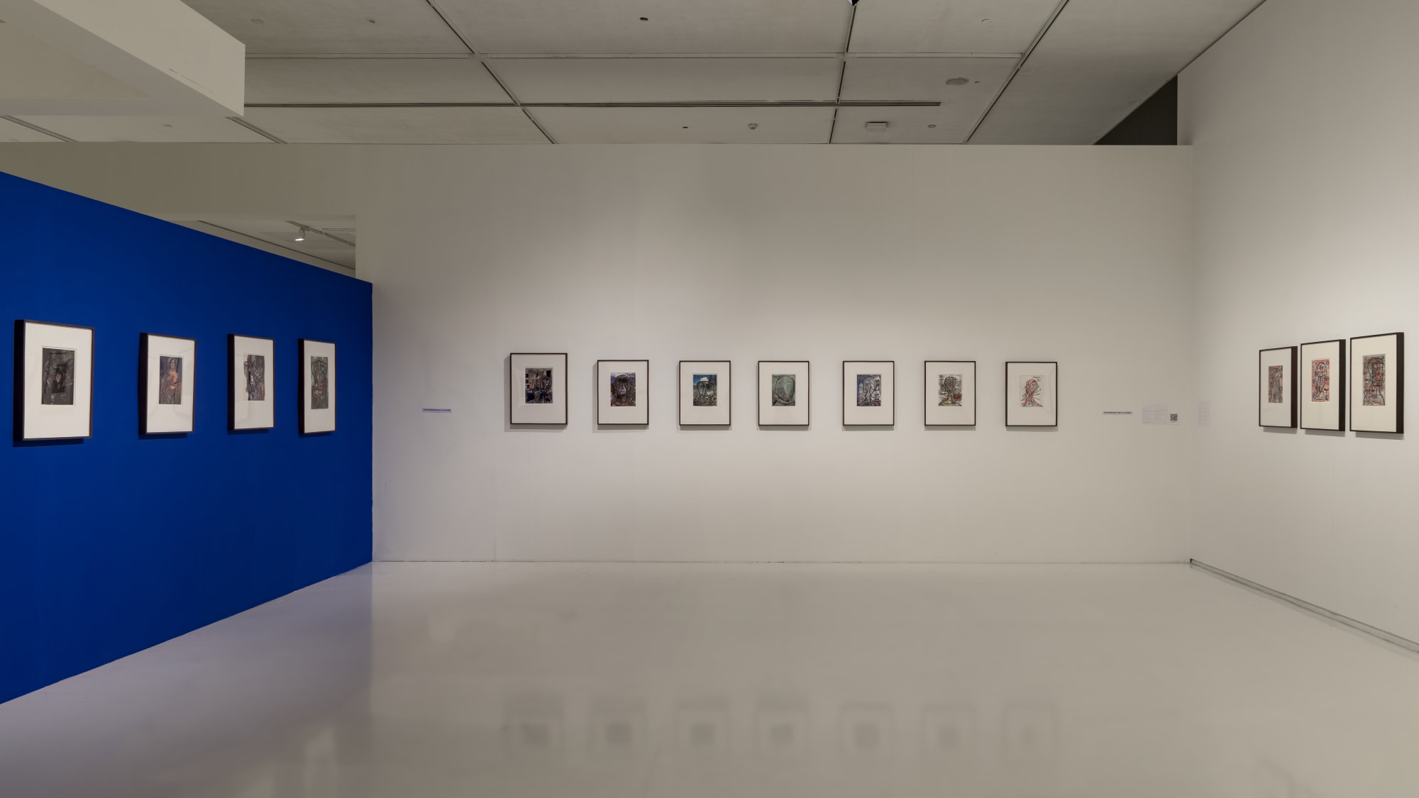 FN Souza: Drawings and Chemical Alterations