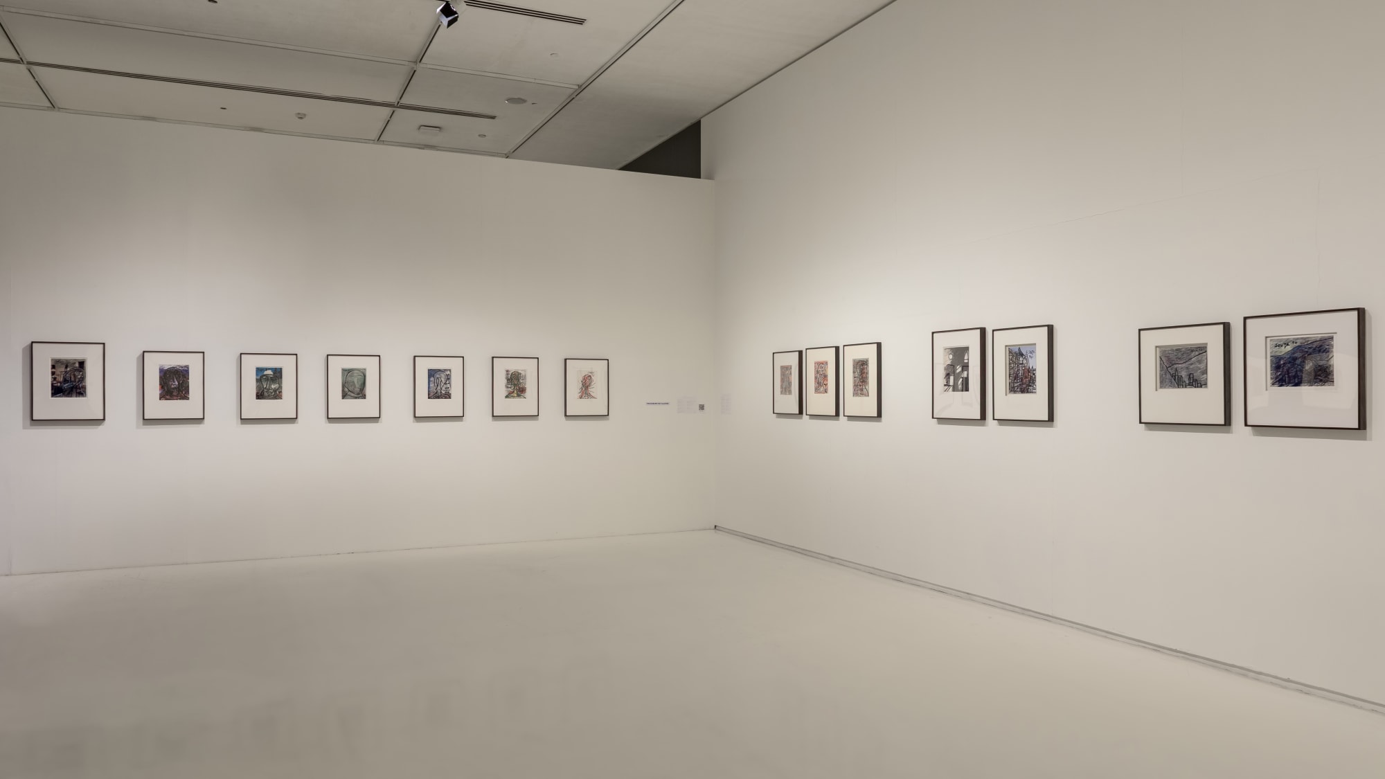 FN Souza: Drawings and Chemical Alterations