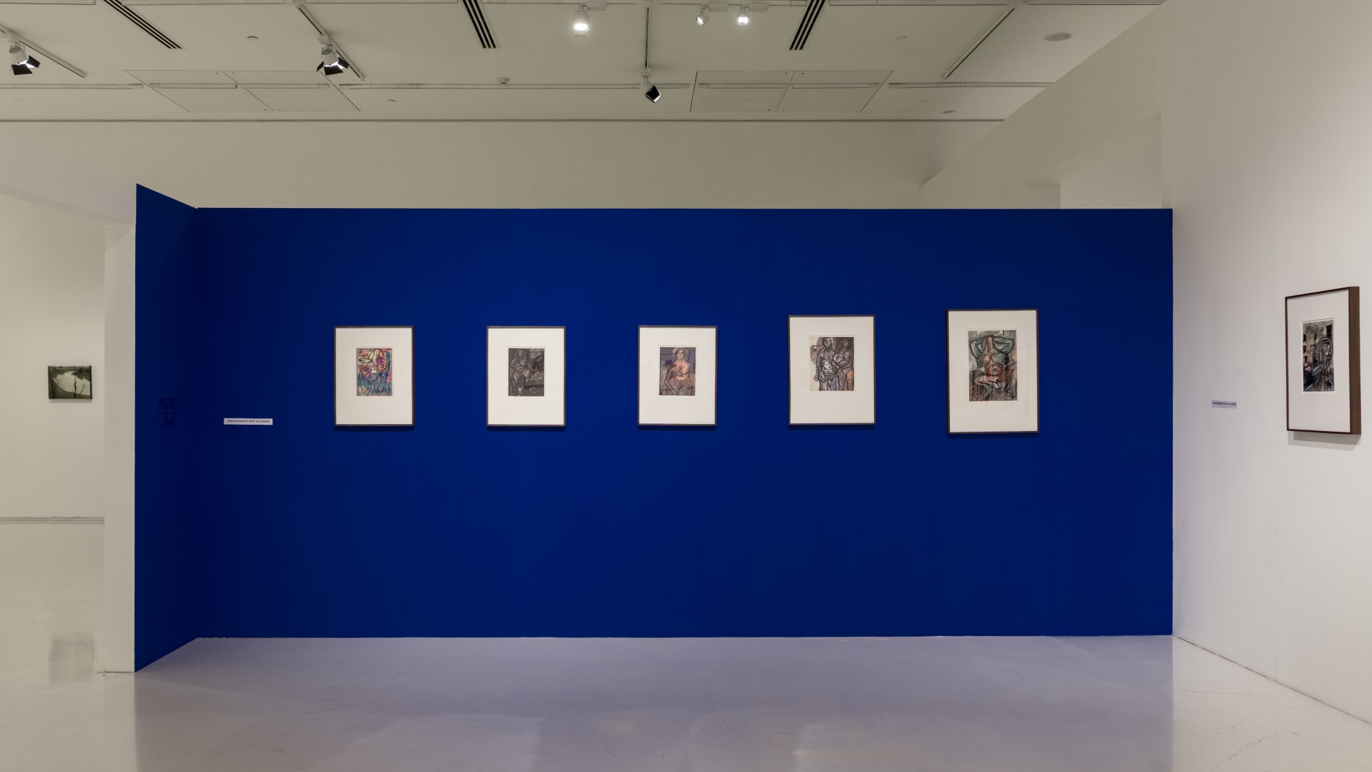 FN Souza: Drawings and Chemical Alterations