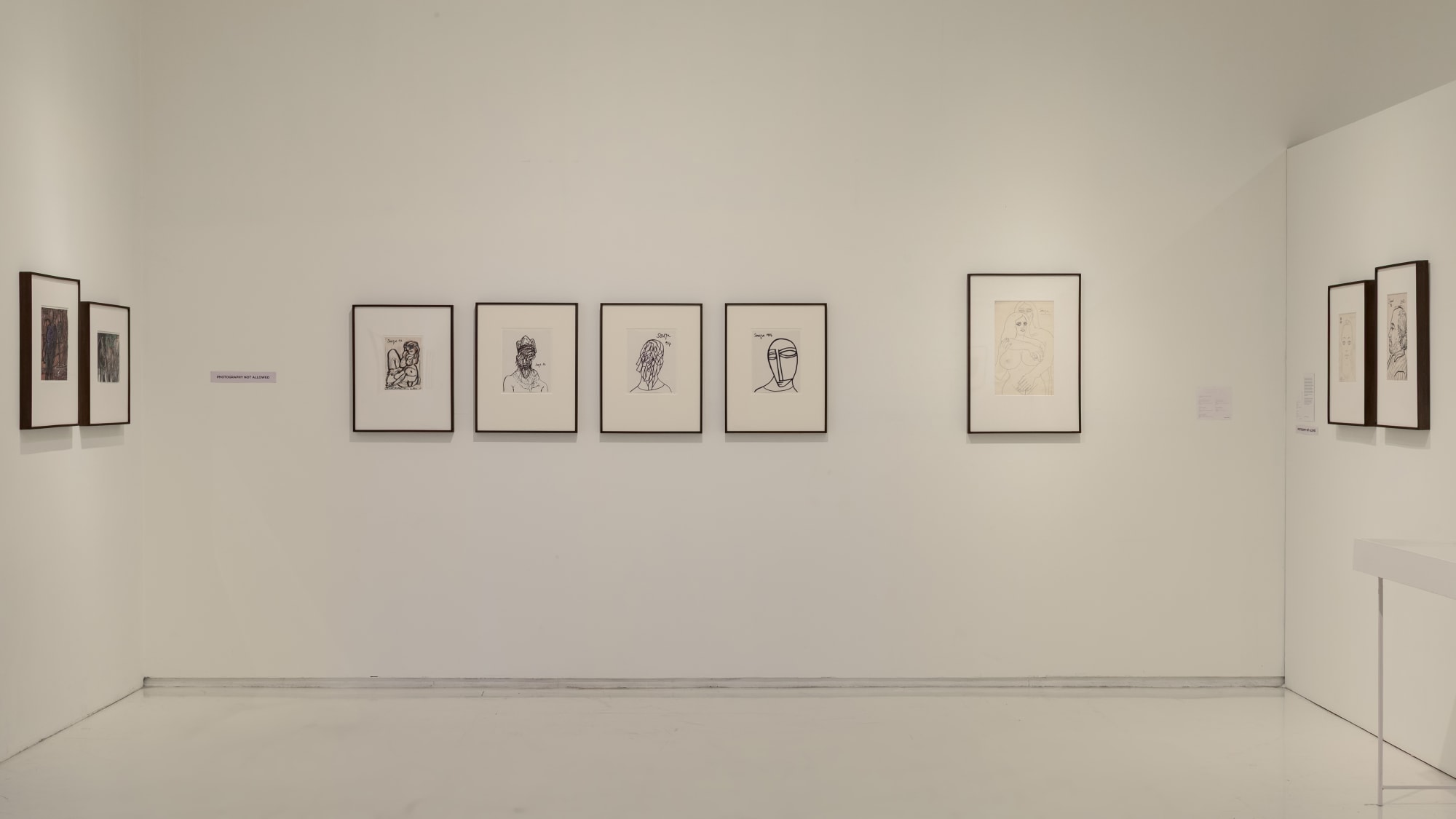 FN Souza: Drawings and Chemical Alterations