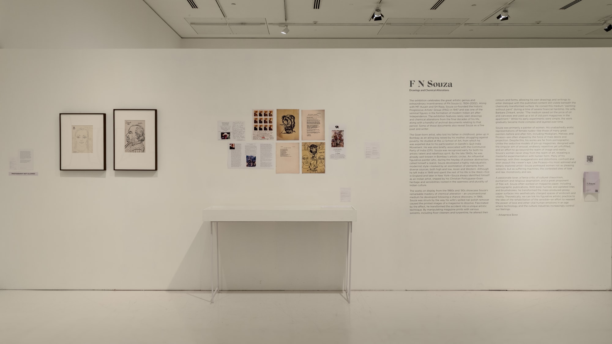 FN Souza: Drawings and Chemical Alterations