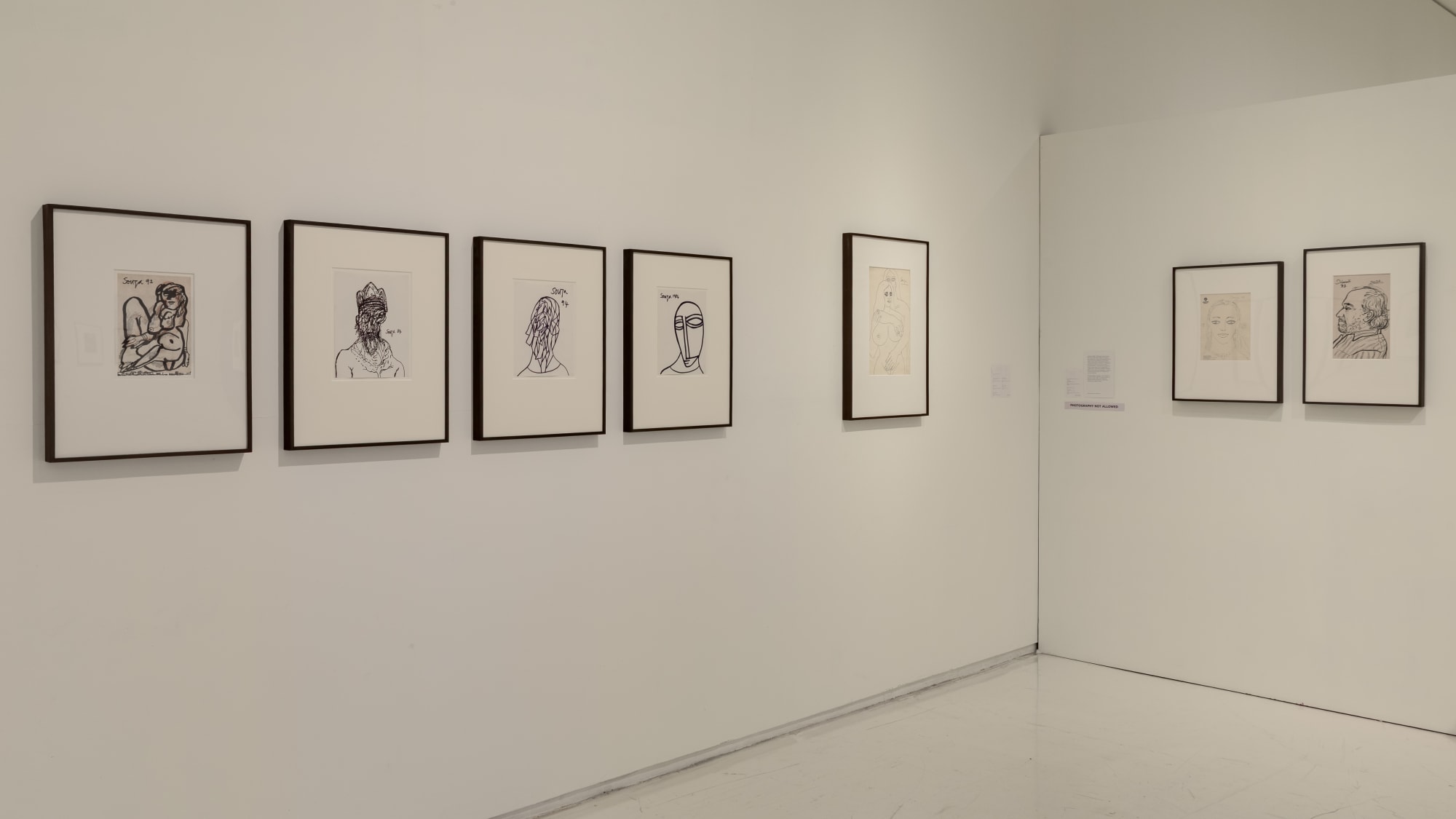 FN Souza: Drawings and Chemical Alterations